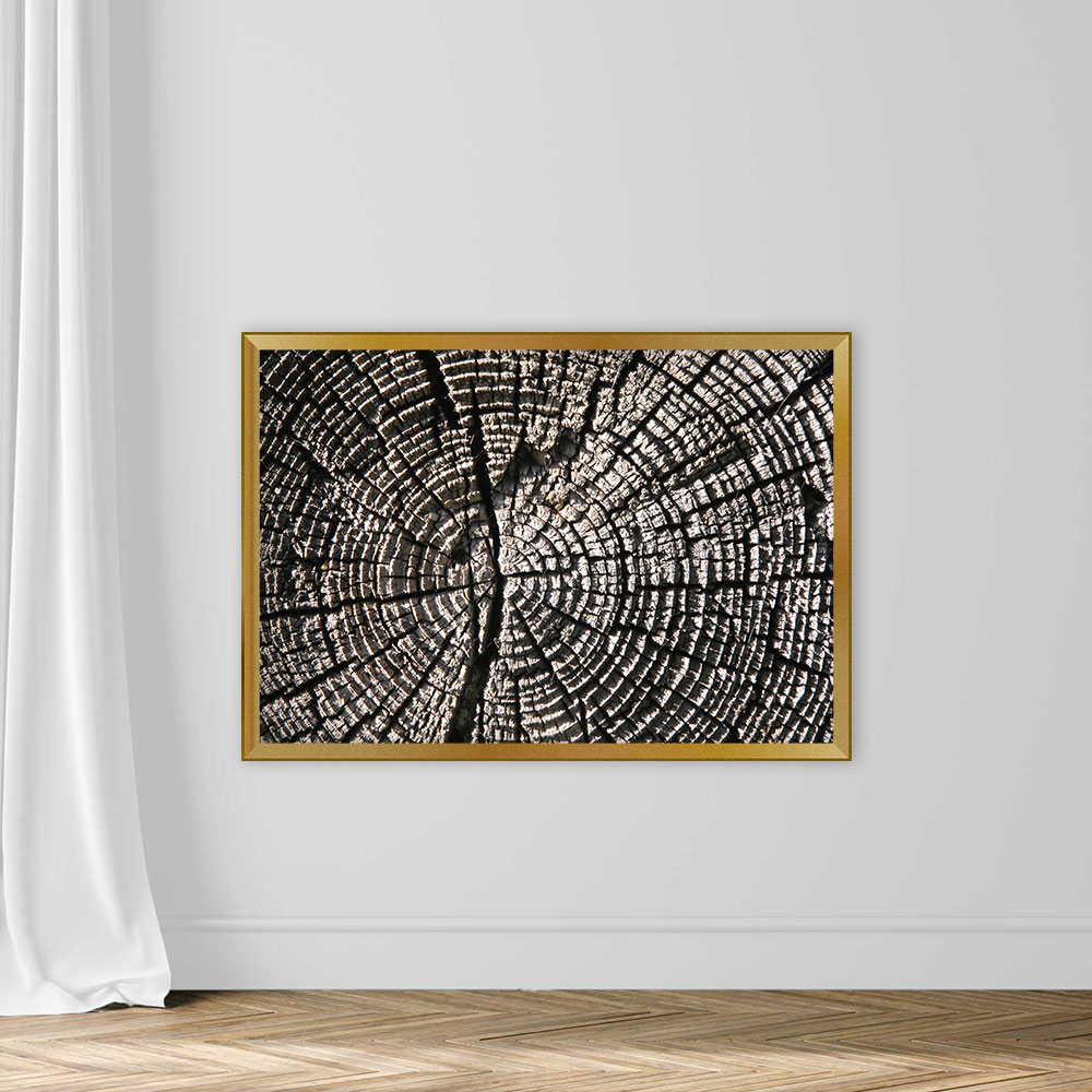 Wood Texture - Image 5