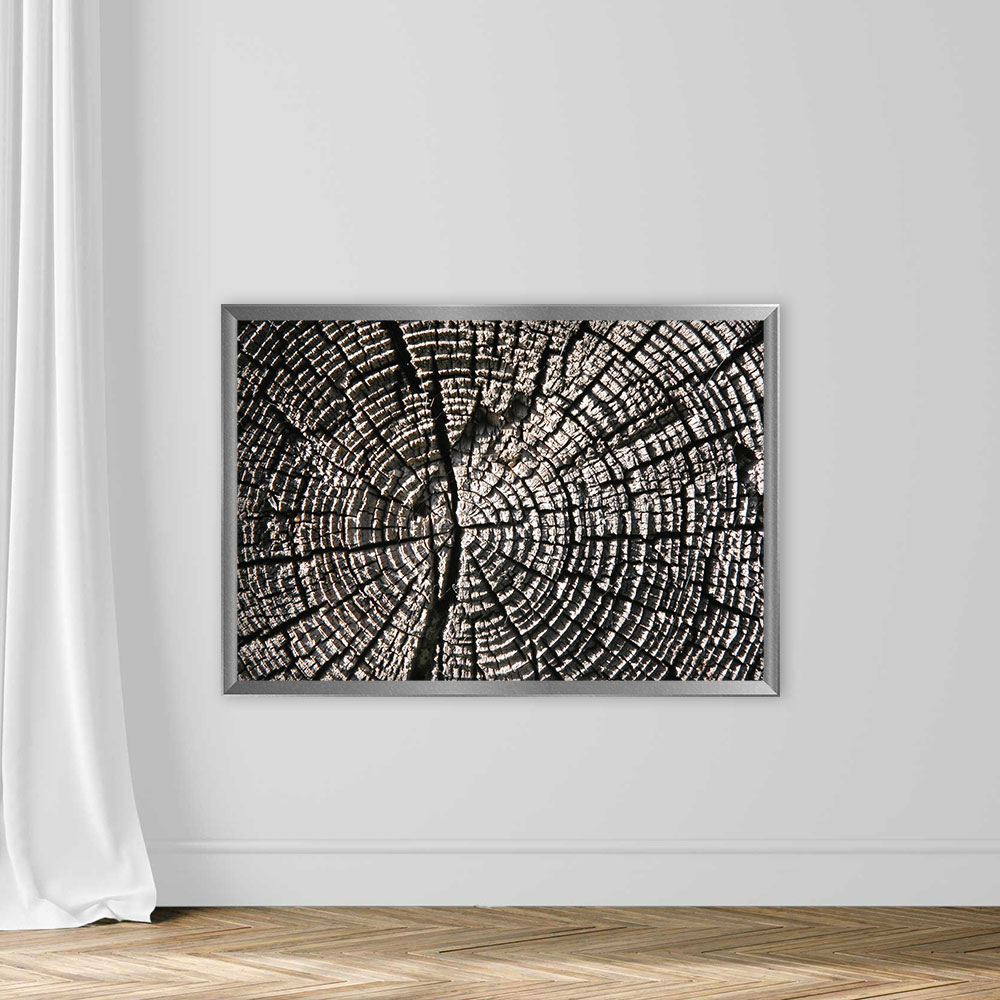 Wood Texture - Image 4