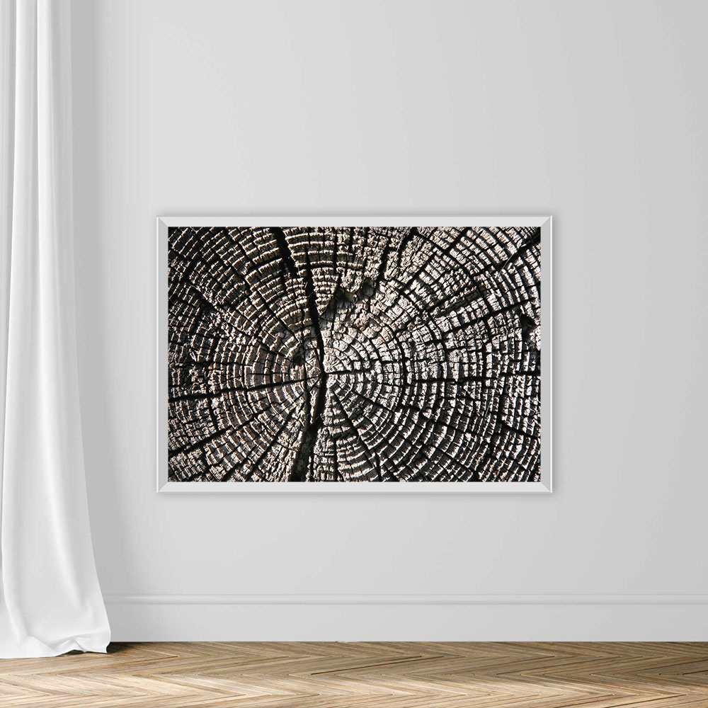 Wood Texture - Image 2