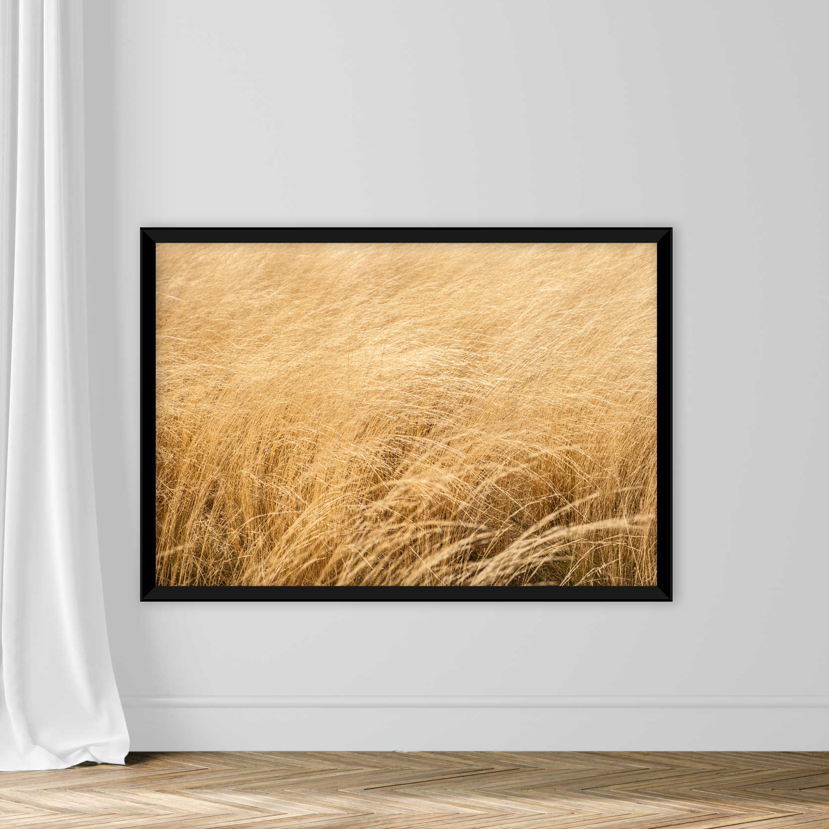 Wheat Background - Image 3