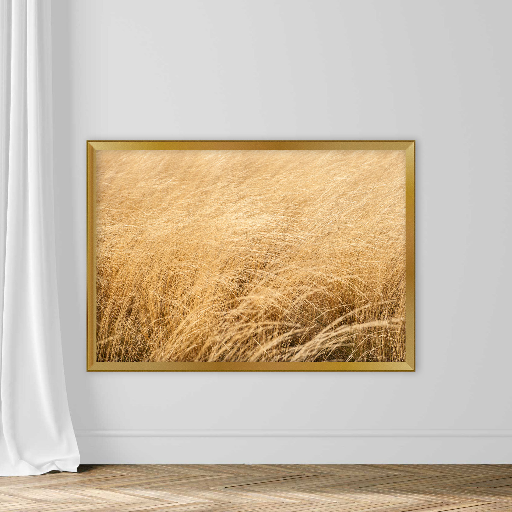 Wheat Background - Image 5
