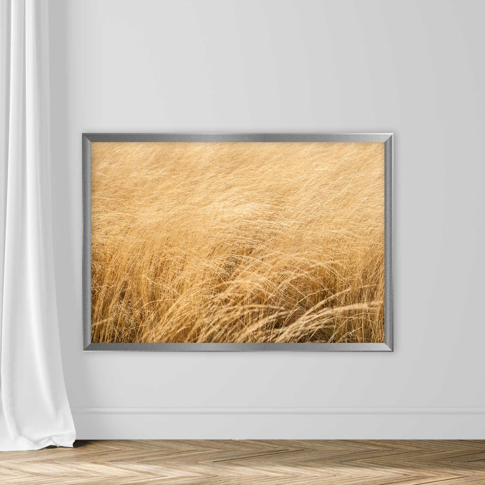 Wheat Background - Image 4