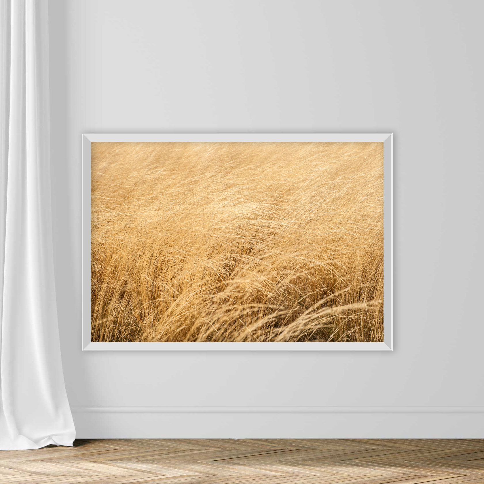 Wheat Background - Image 2
