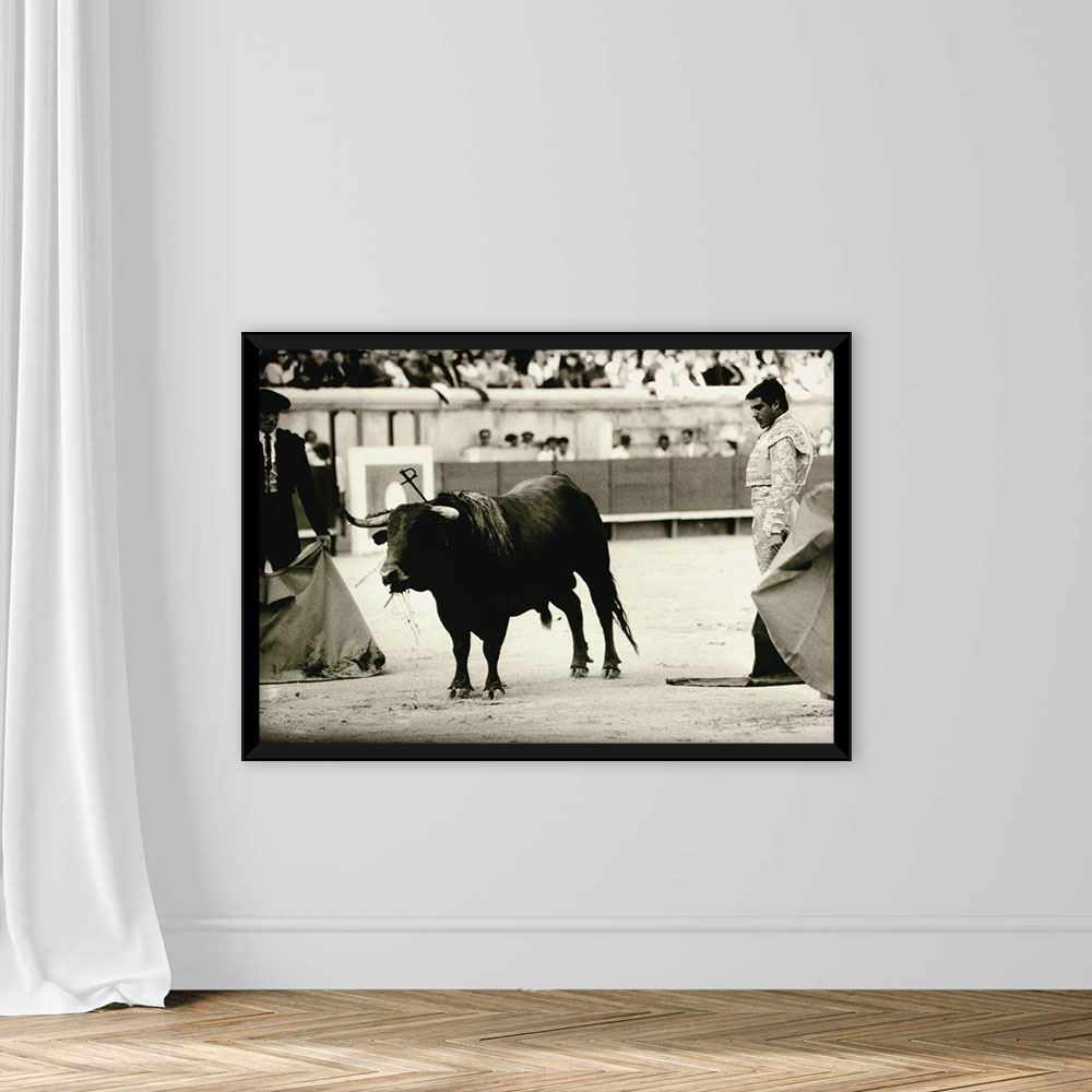 BULLFIGHT, NIMES, FRANCE - Image 3