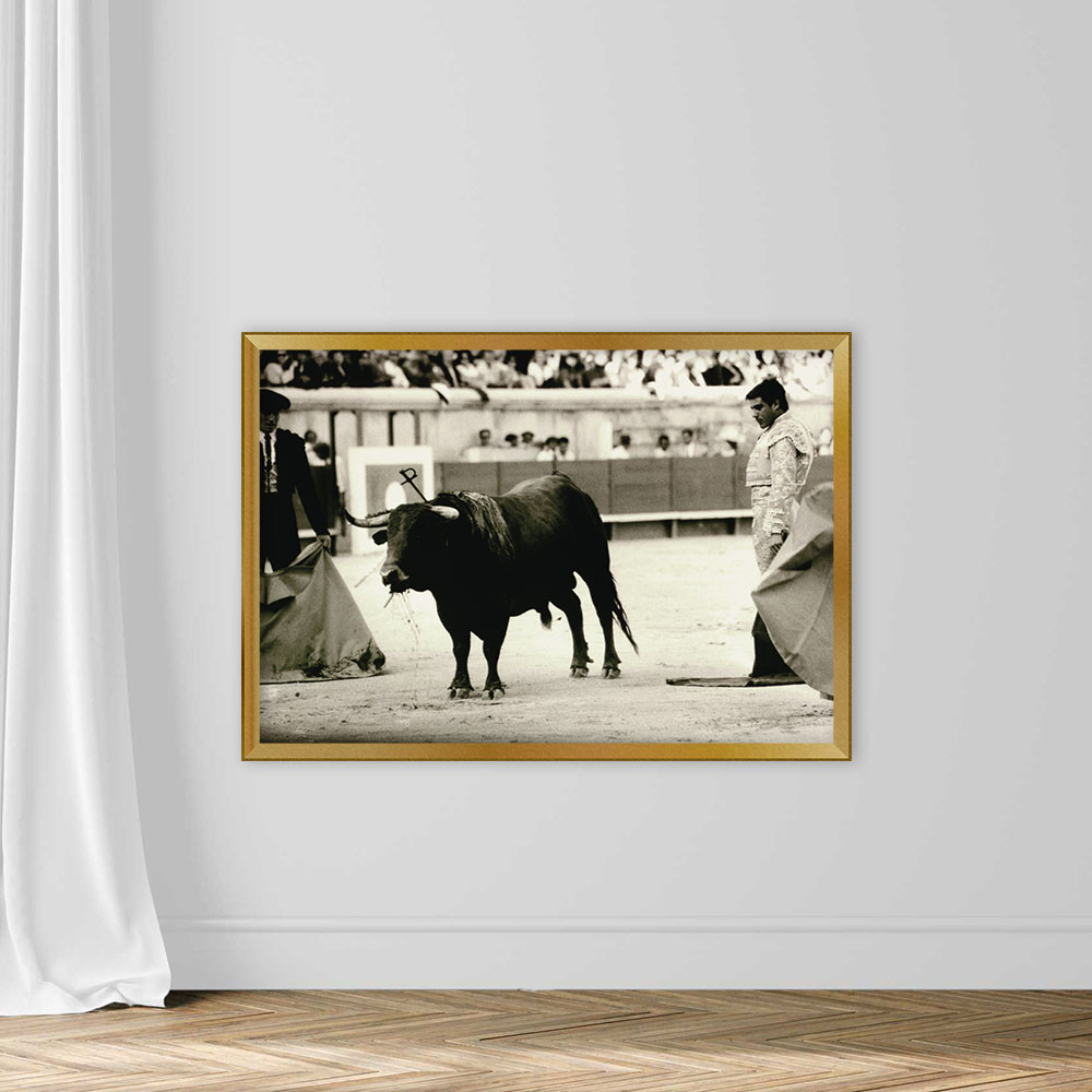 BULLFIGHT, NIMES, FRANCE - Image 5