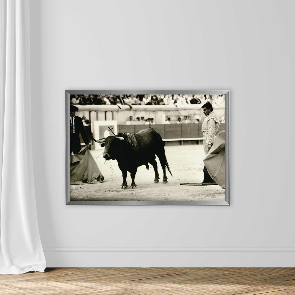 BULLFIGHT, NIMES, FRANCE - Image 4