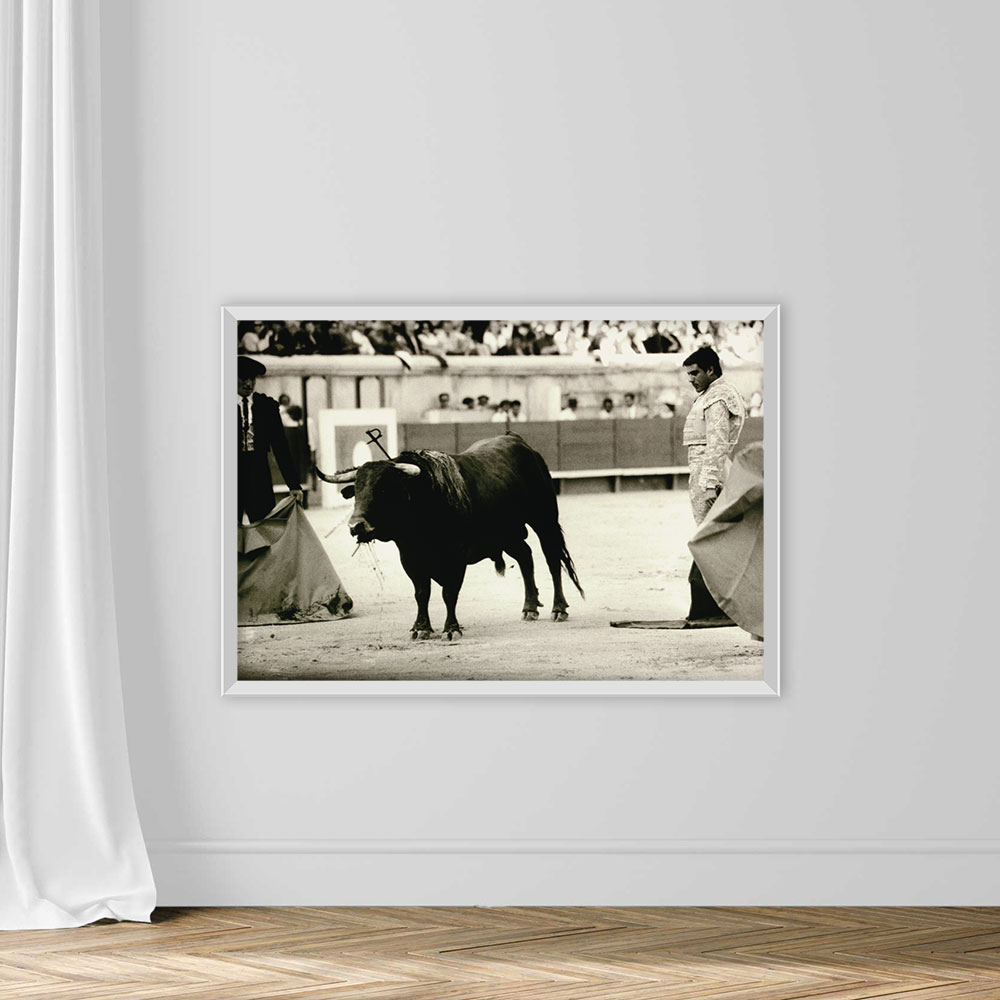 BULLFIGHT, NIMES, FRANCE - Image 2
