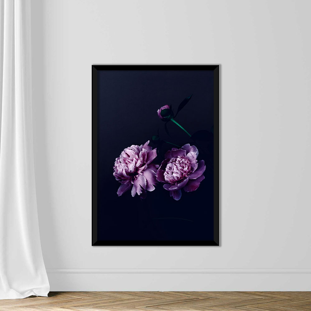 Close-Up Of Purple Flowers Against Black Background - Image 3