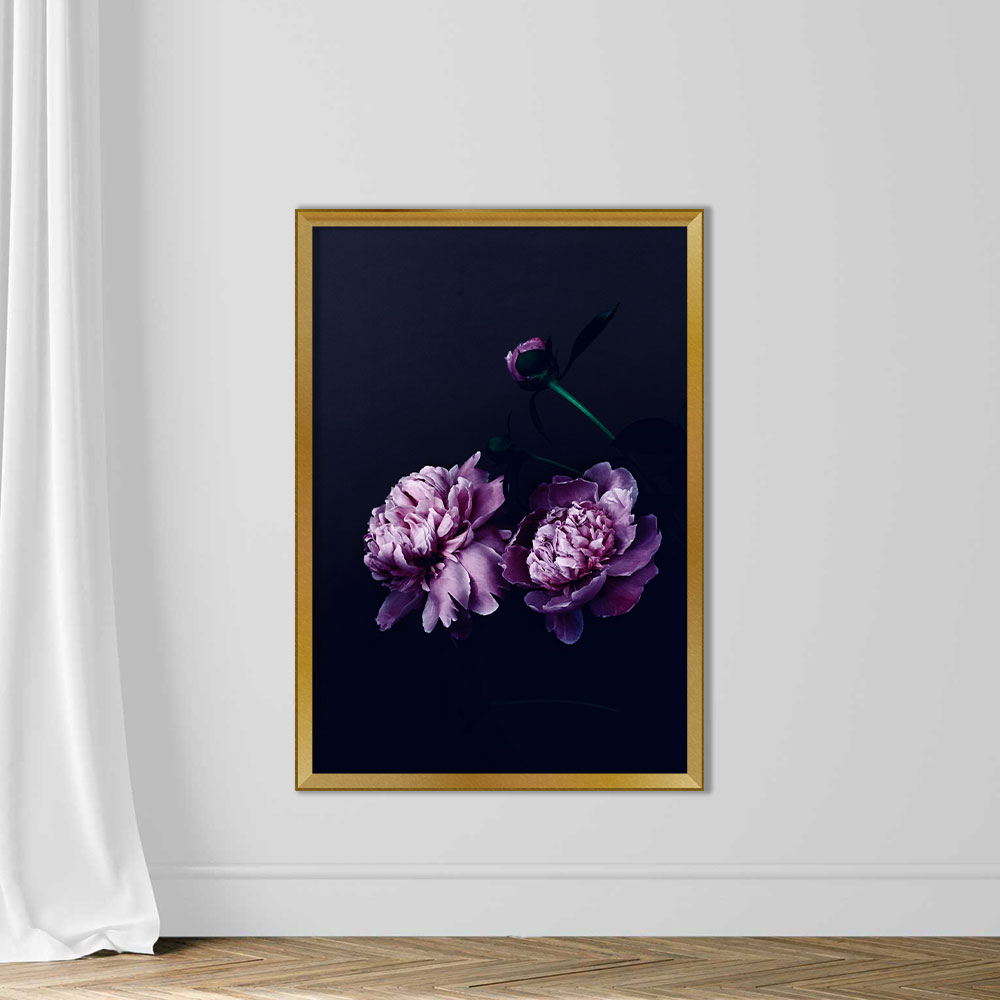 Close-Up Of Purple Flowers Against Black Background - Image 5