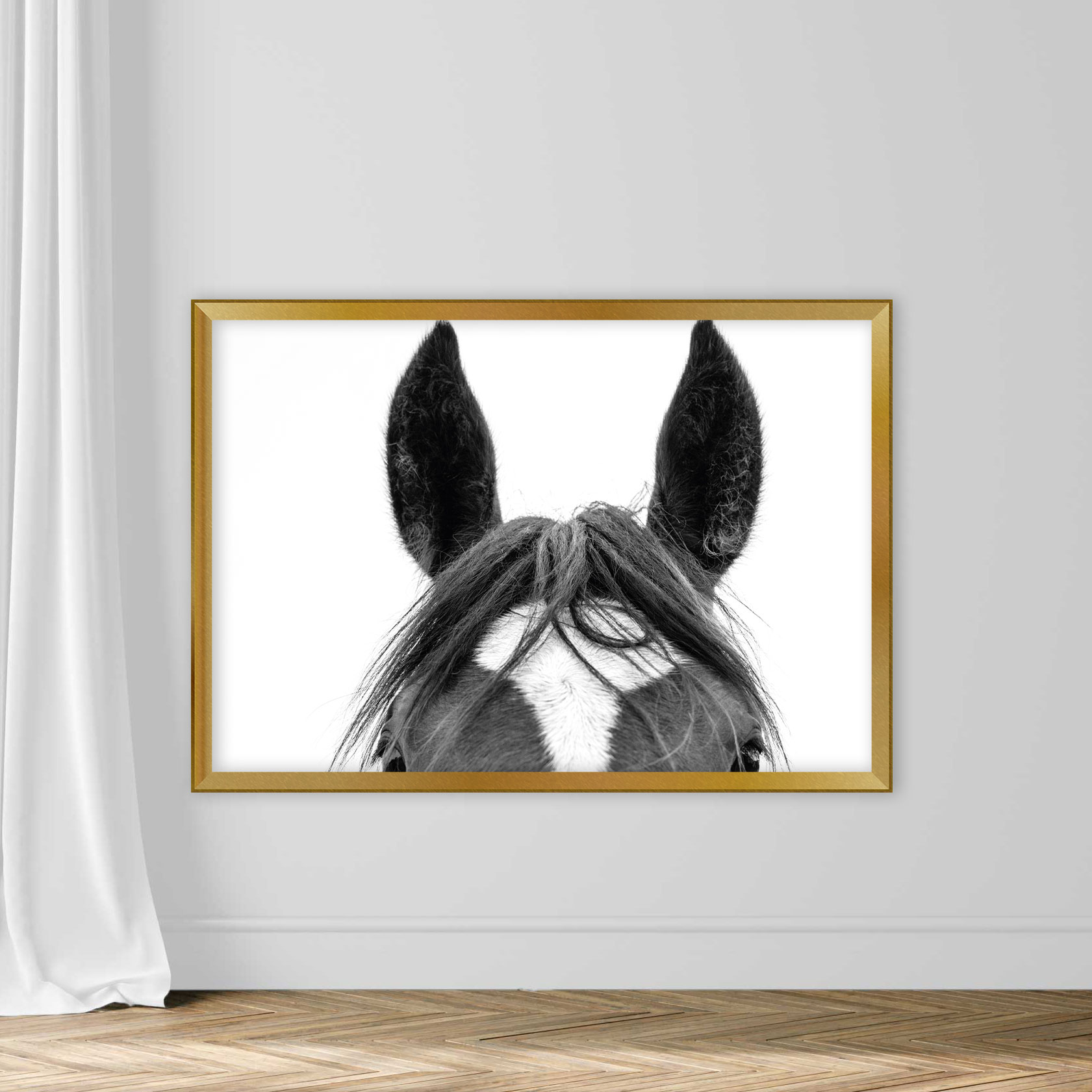 Black and White Picture of a horses head, mane and eyes - Image 5