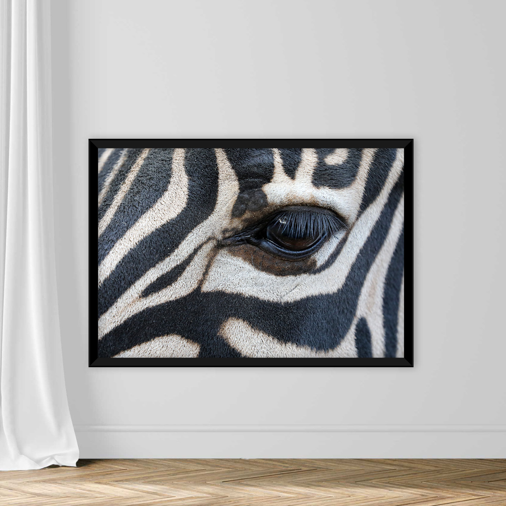 Close up shot of zebra eye - Image 3