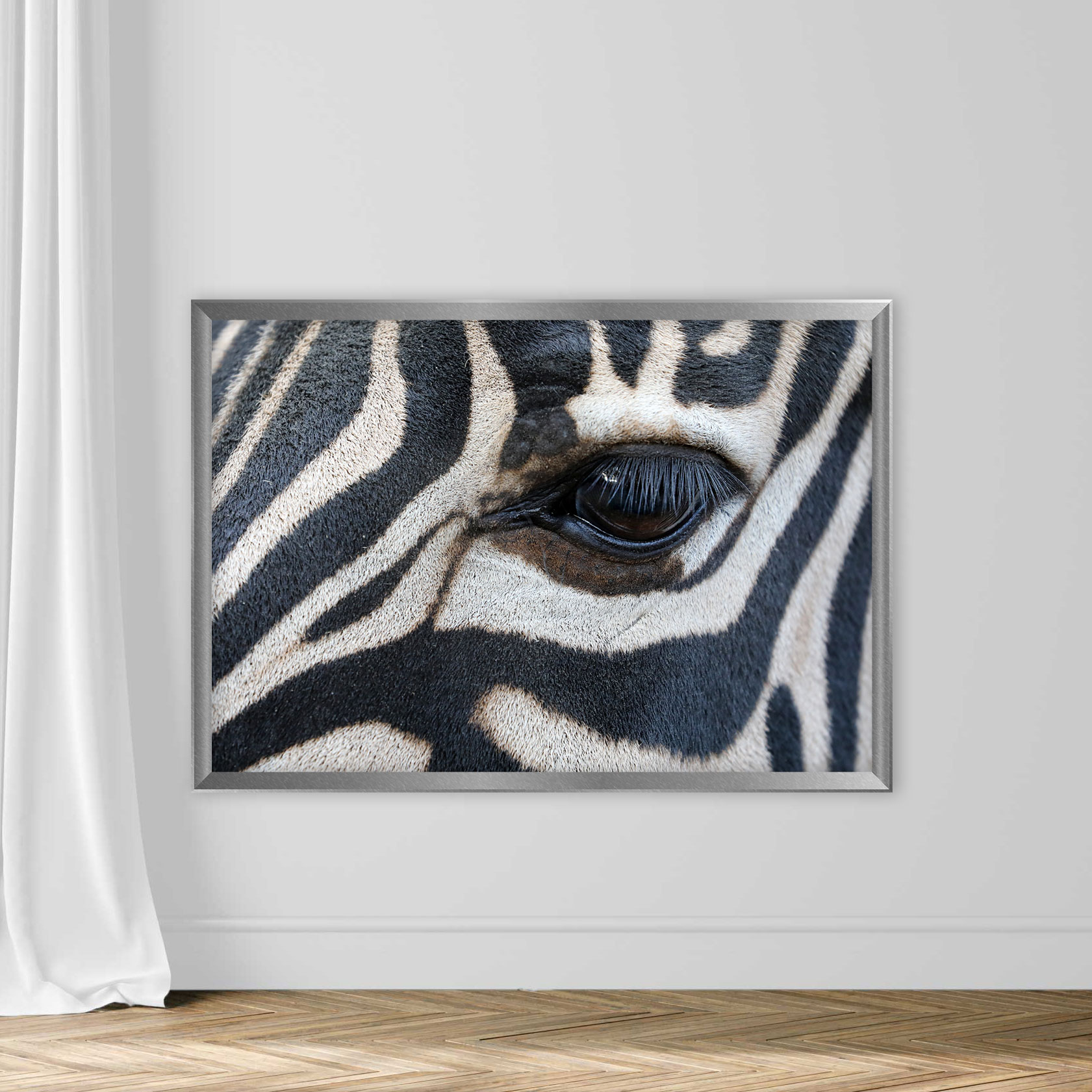 Close up shot of zebra eye - Image 4