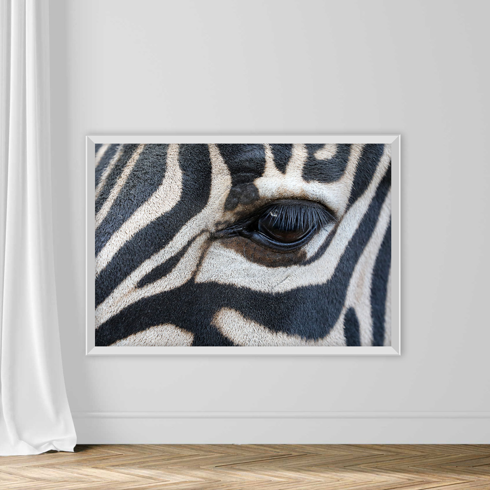 Close up shot of zebra eye - Image 2