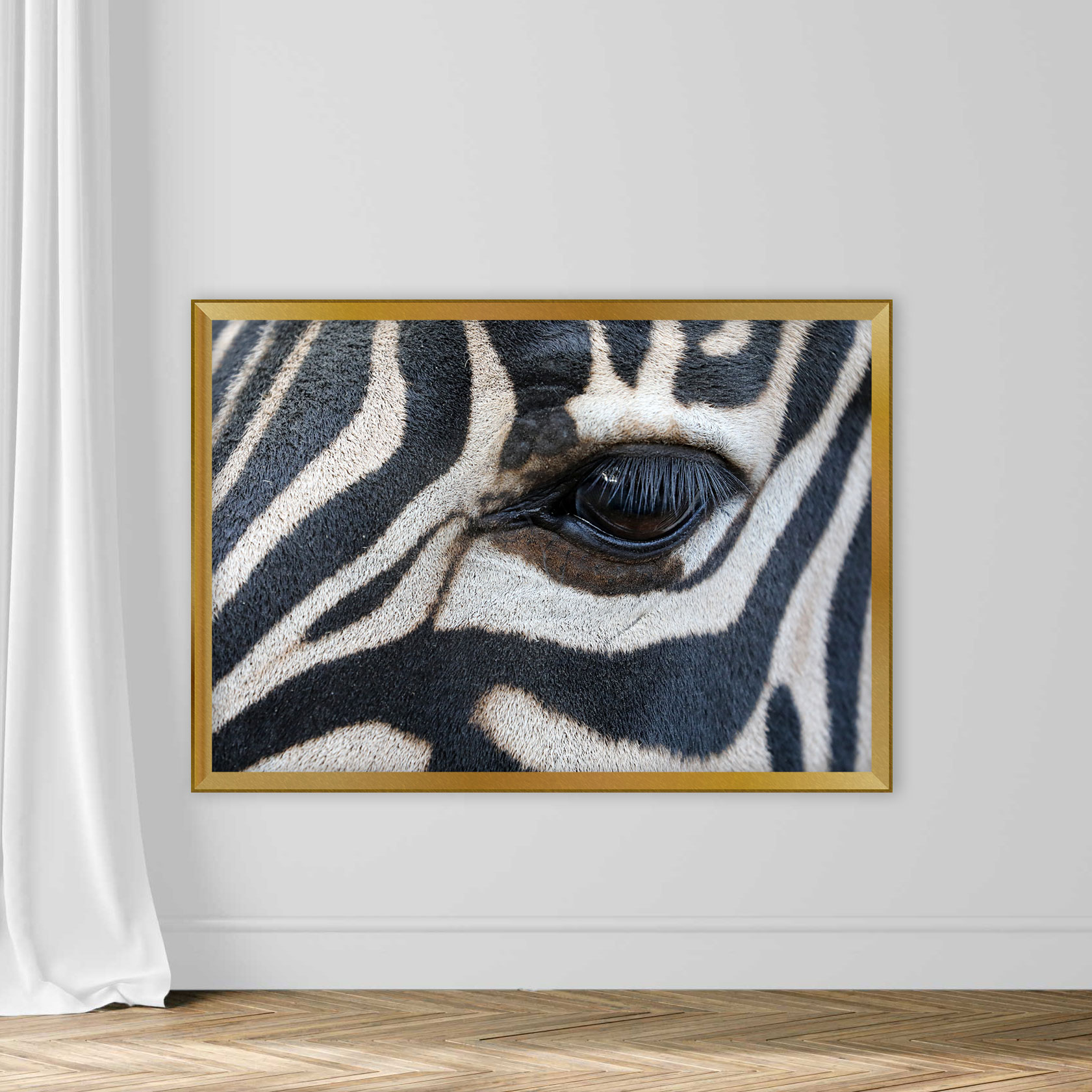 Close up shot of zebra eye - Image 5