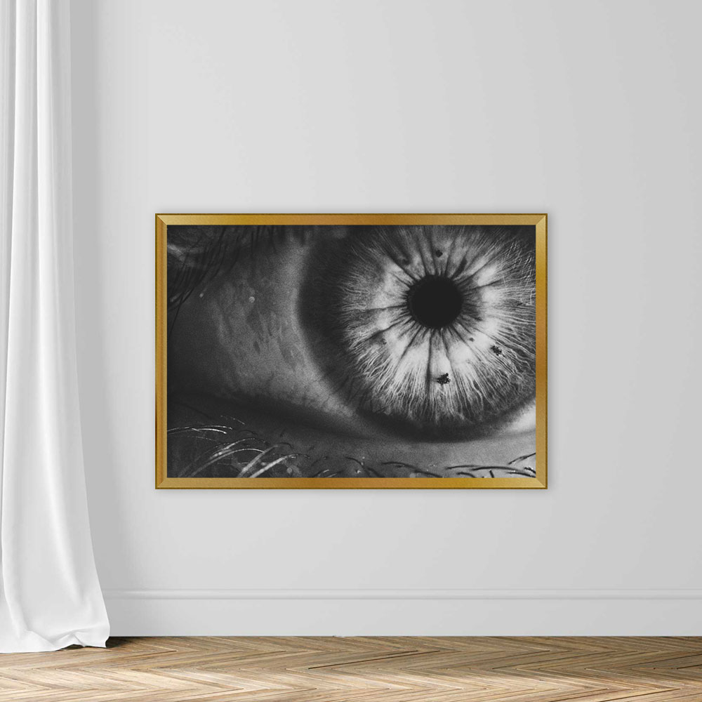 Human Eye - Image 5