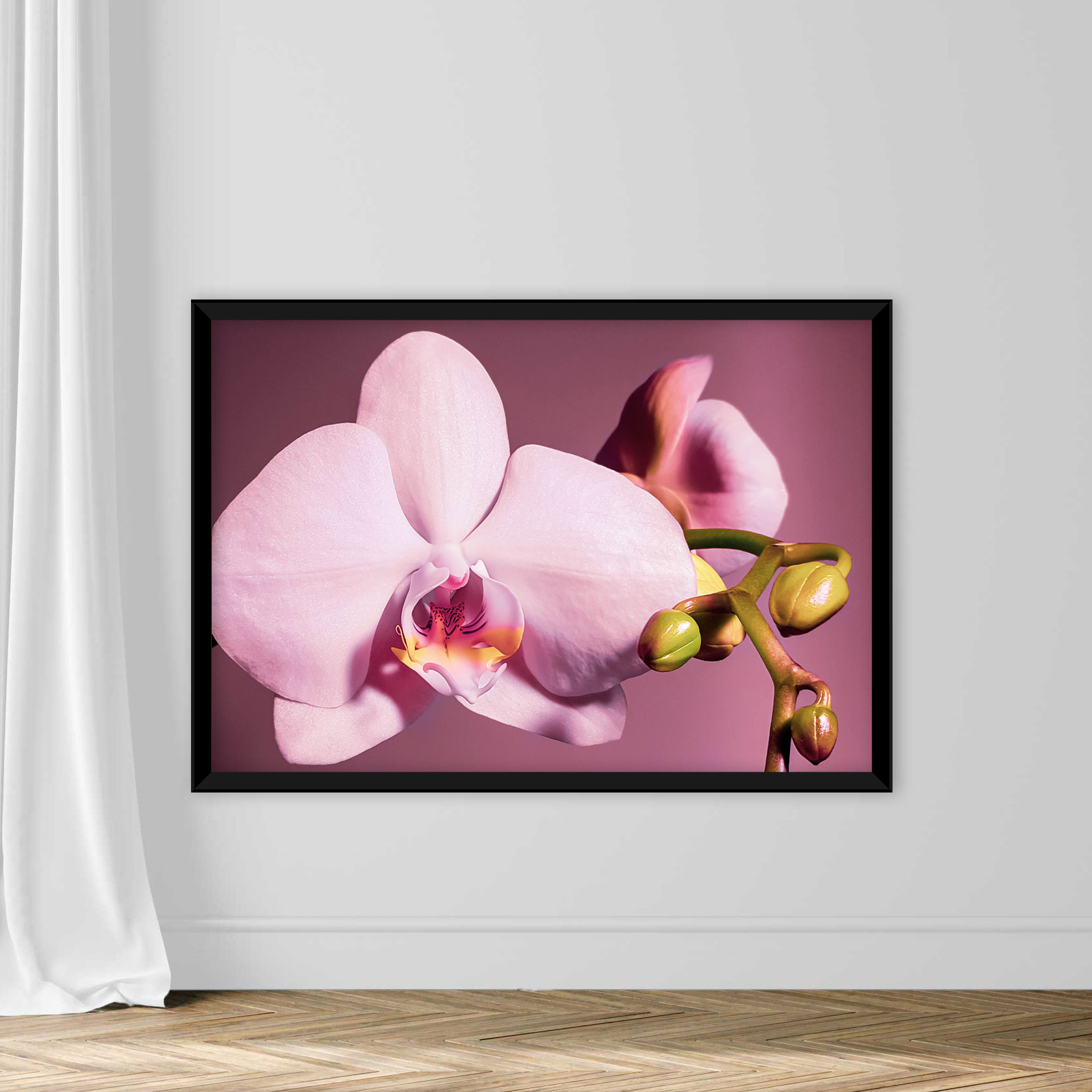 Delicate pink orchid with buds on a purple background - Image 3