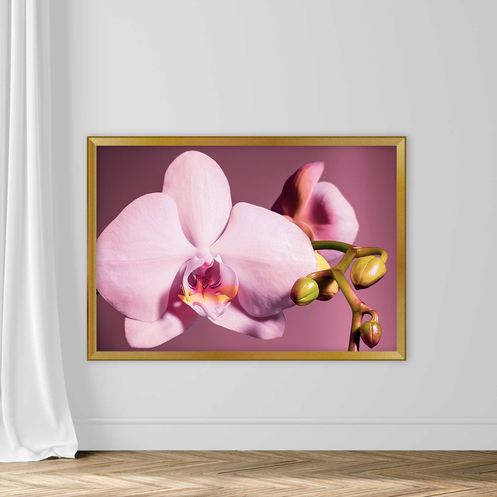 Delicate pink orchid with buds on a purple background - Image 5