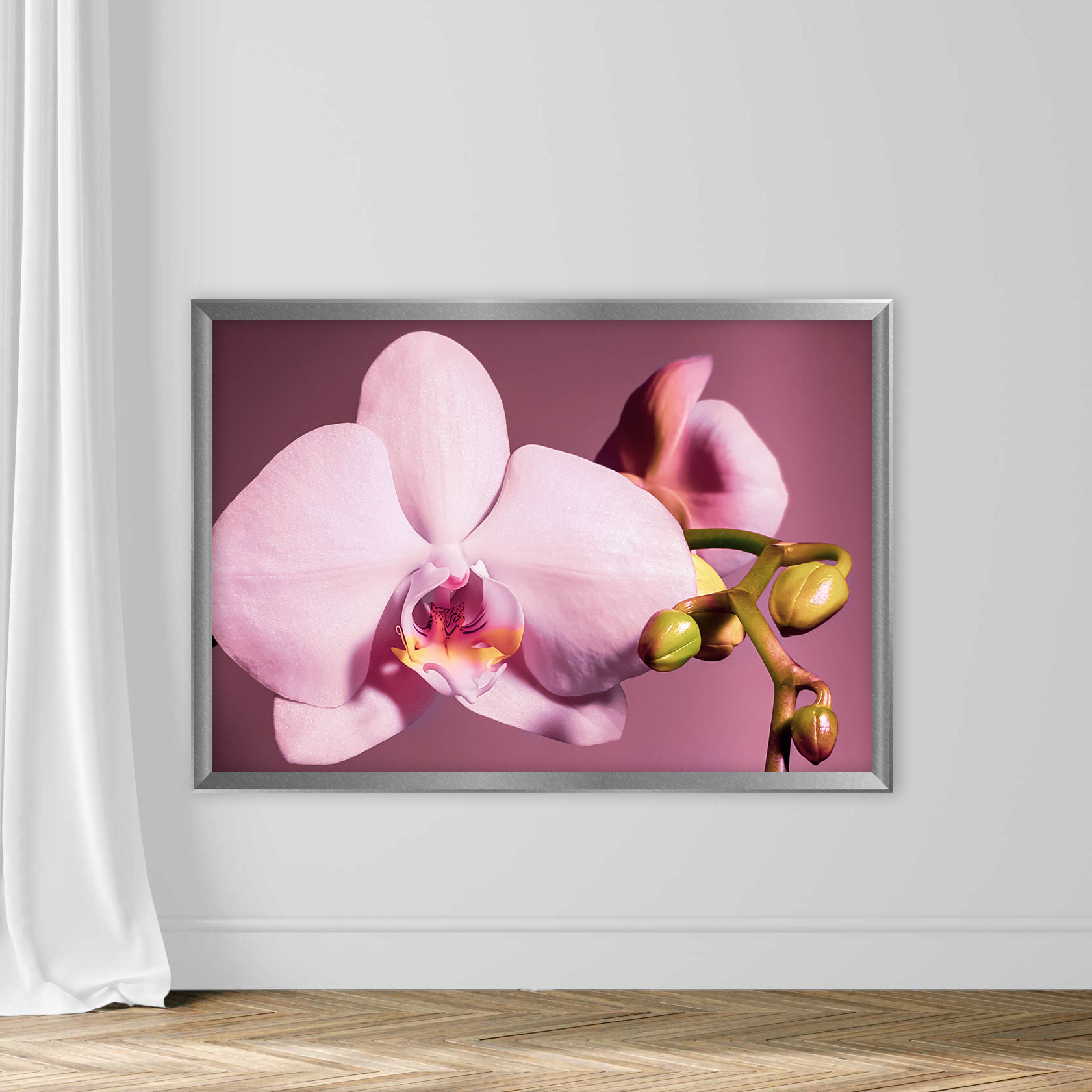 Delicate pink orchid with buds on a purple background - Image 4