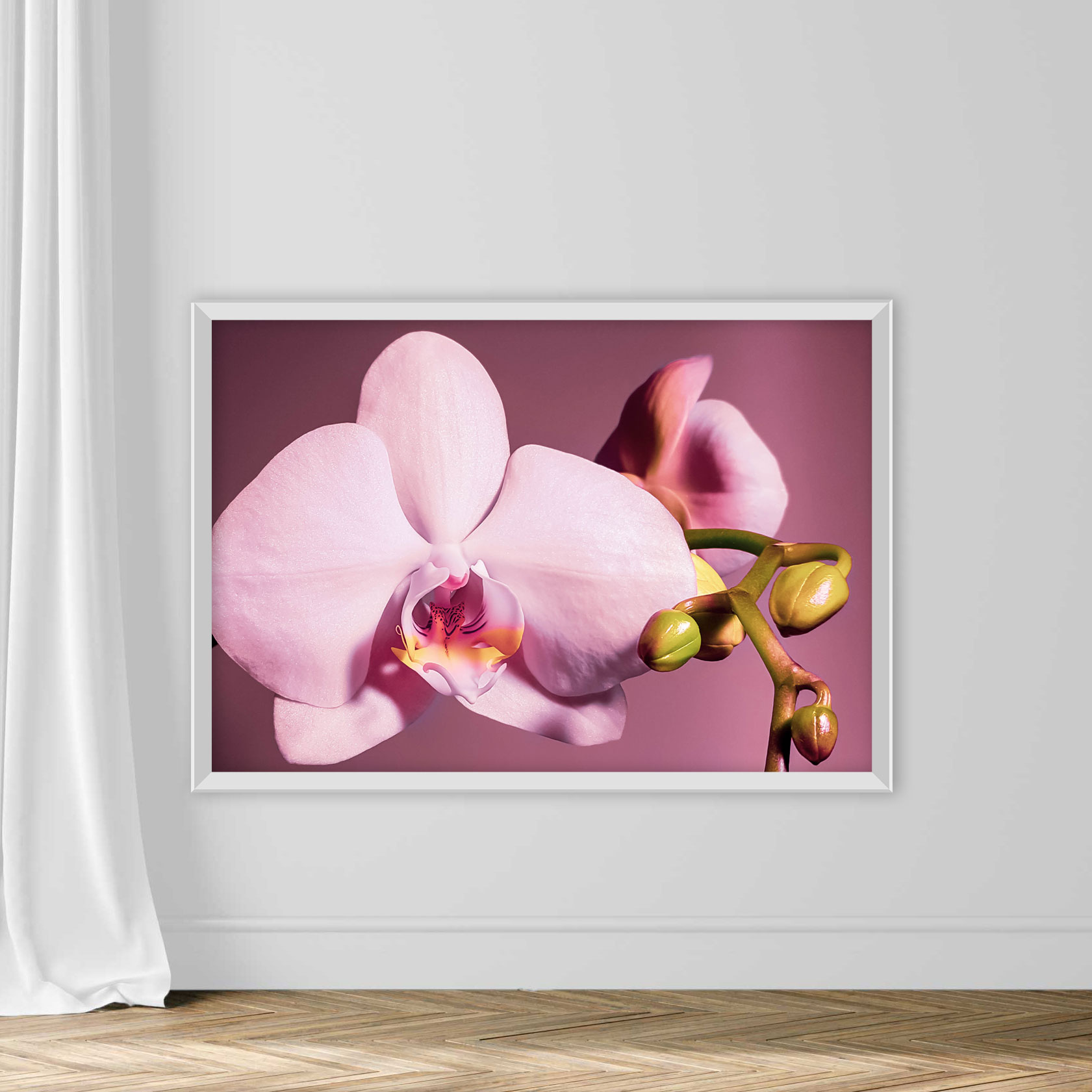 Delicate pink orchid with buds on a purple background - Image 2