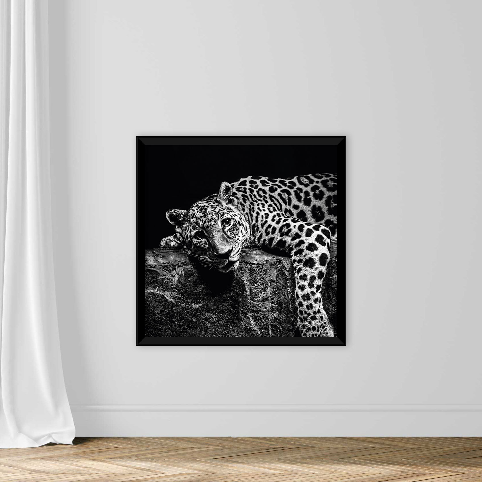 Leopard on Rock - Image 3