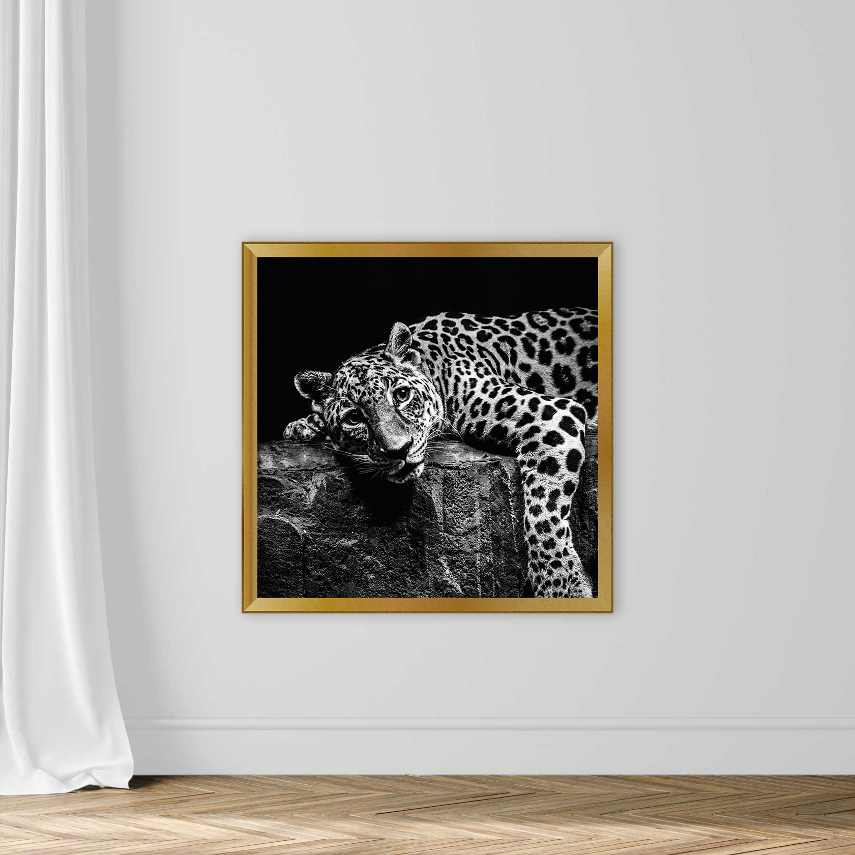 Leopard on Rock - Image 5