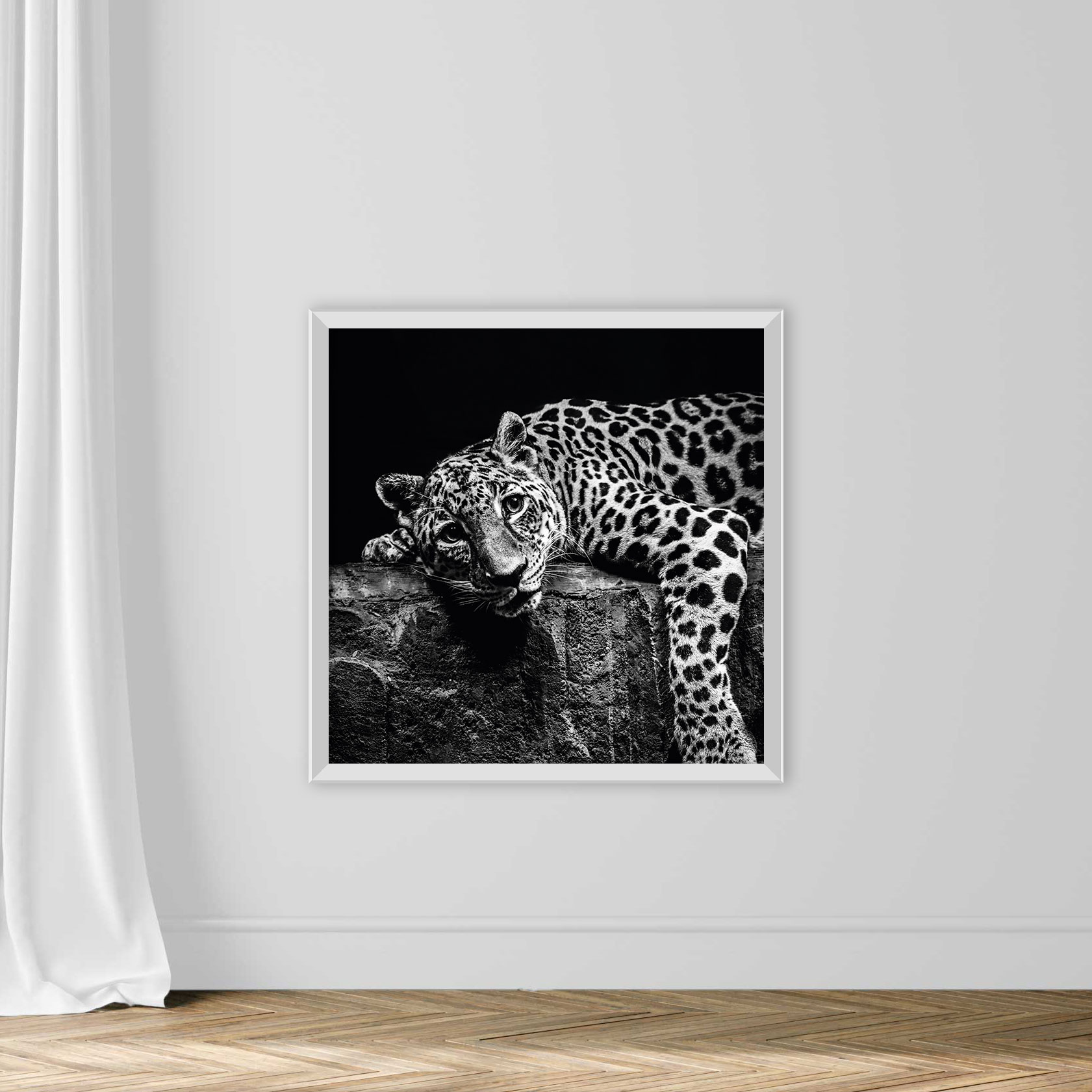 Leopard on Rock - Image 2