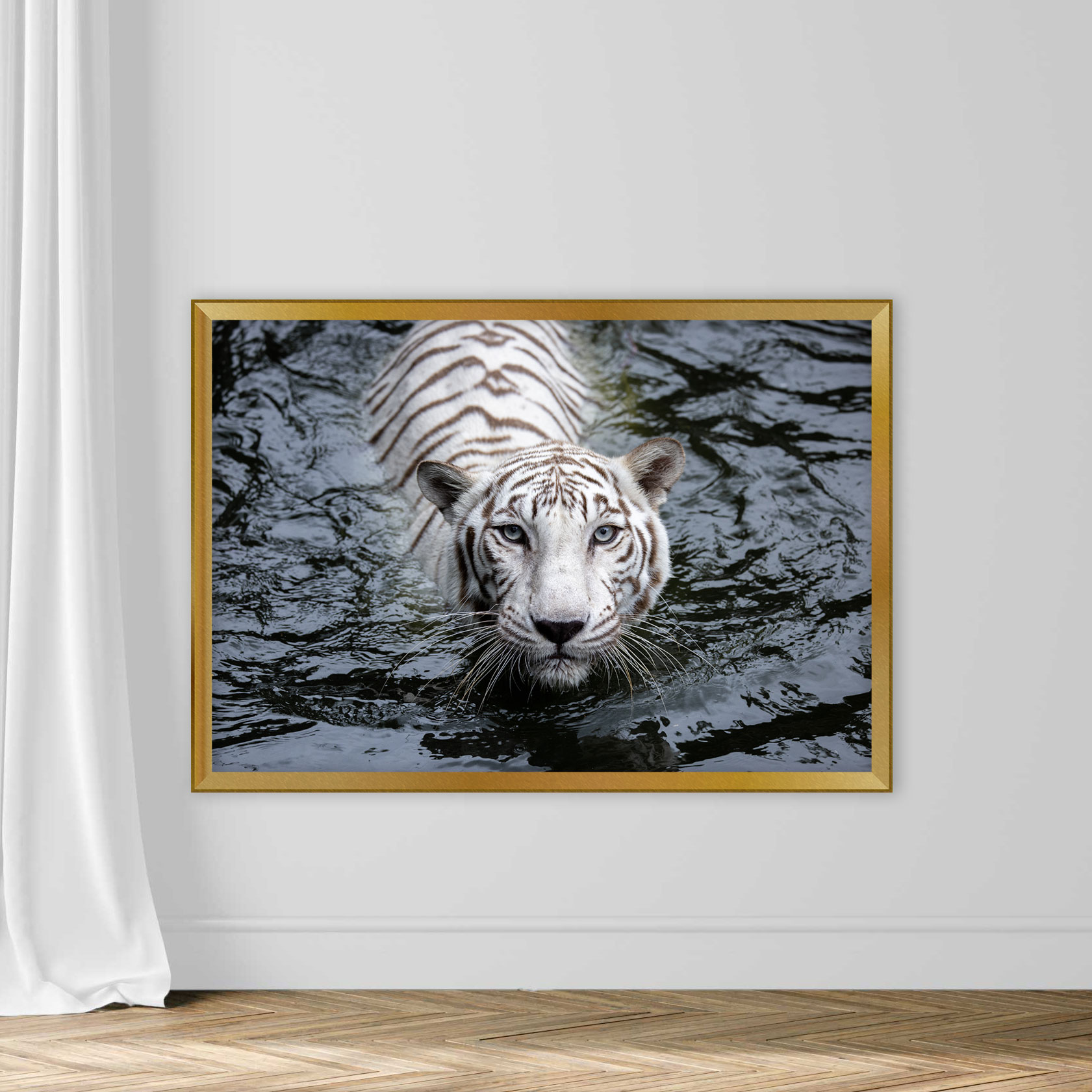 Close up of white tiger - Image 5