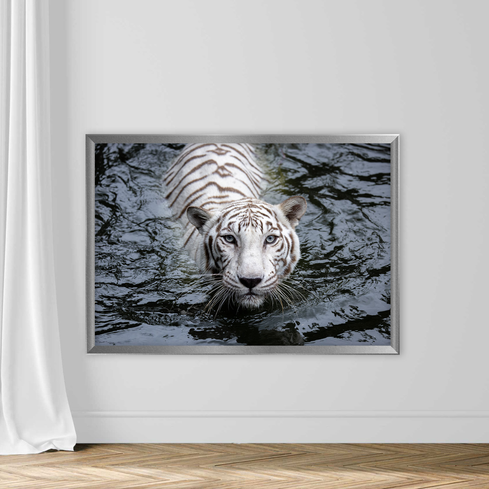 Close up of white tiger - Image 4