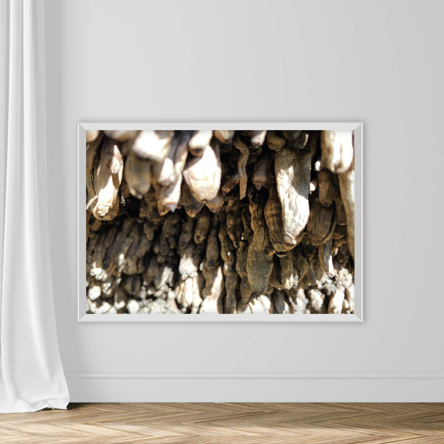 Tree stumps and felled forest deforestation - Image 2