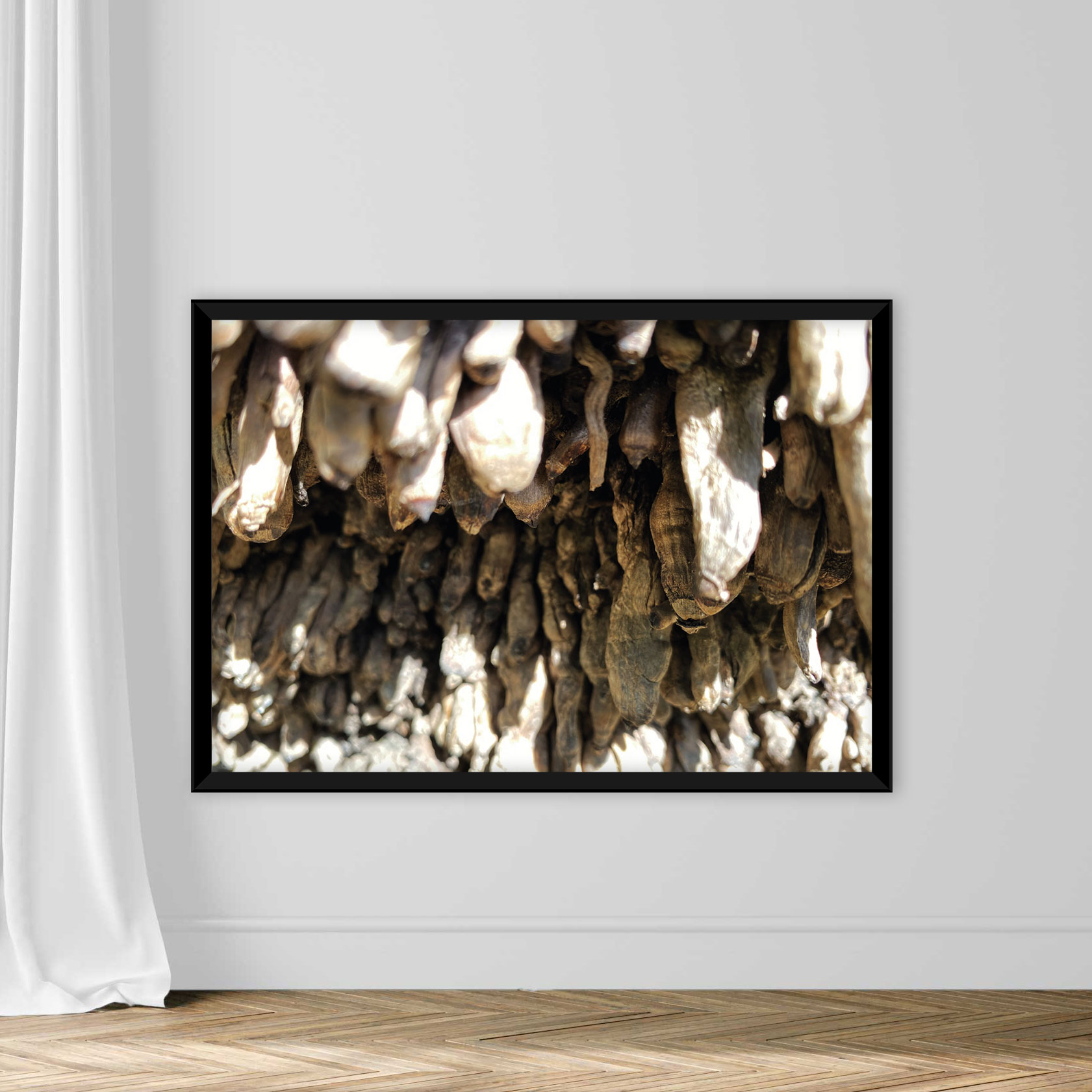Tree stumps and felled forest deforestation - Image 3