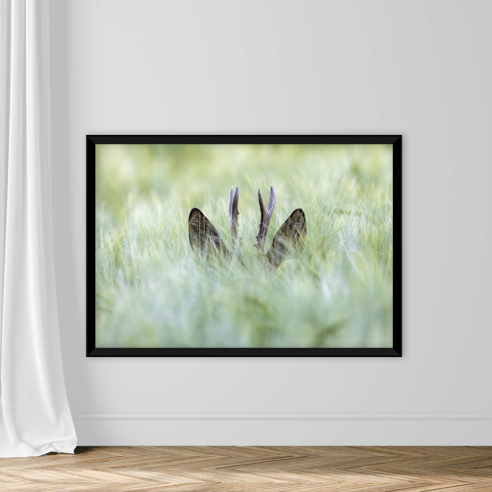 Hiding roebuck - Image 3