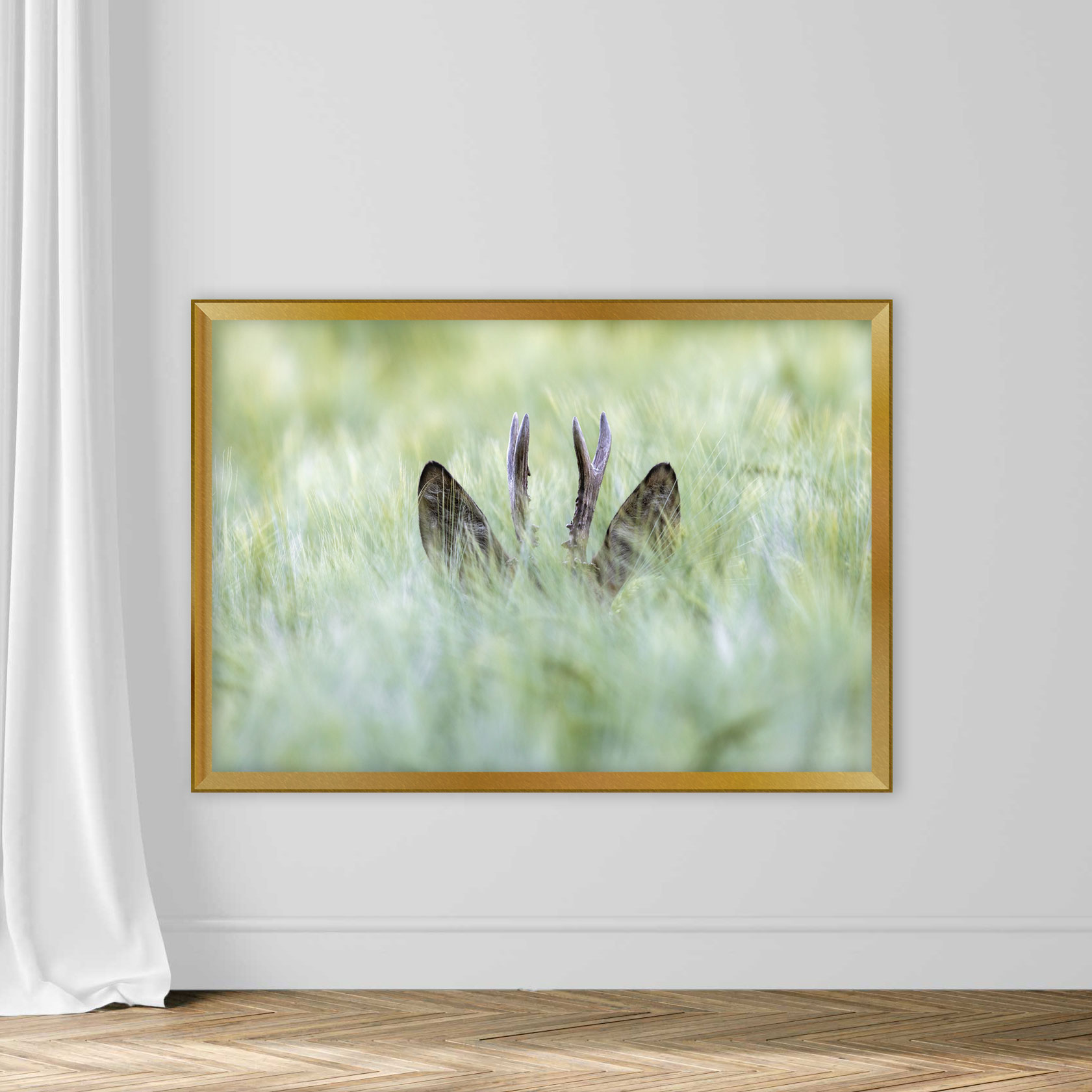 Hiding roebuck - Image 5