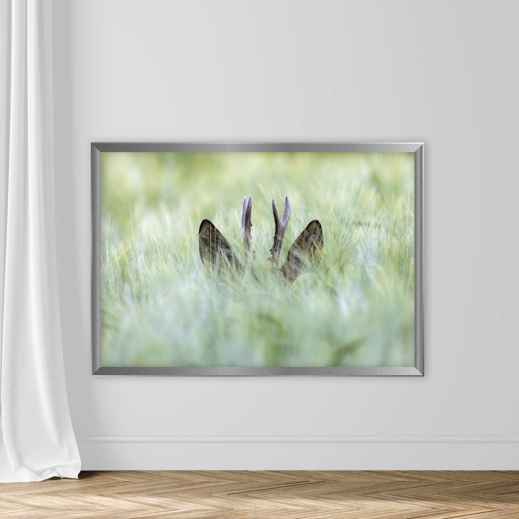Hiding roebuck - Image 4