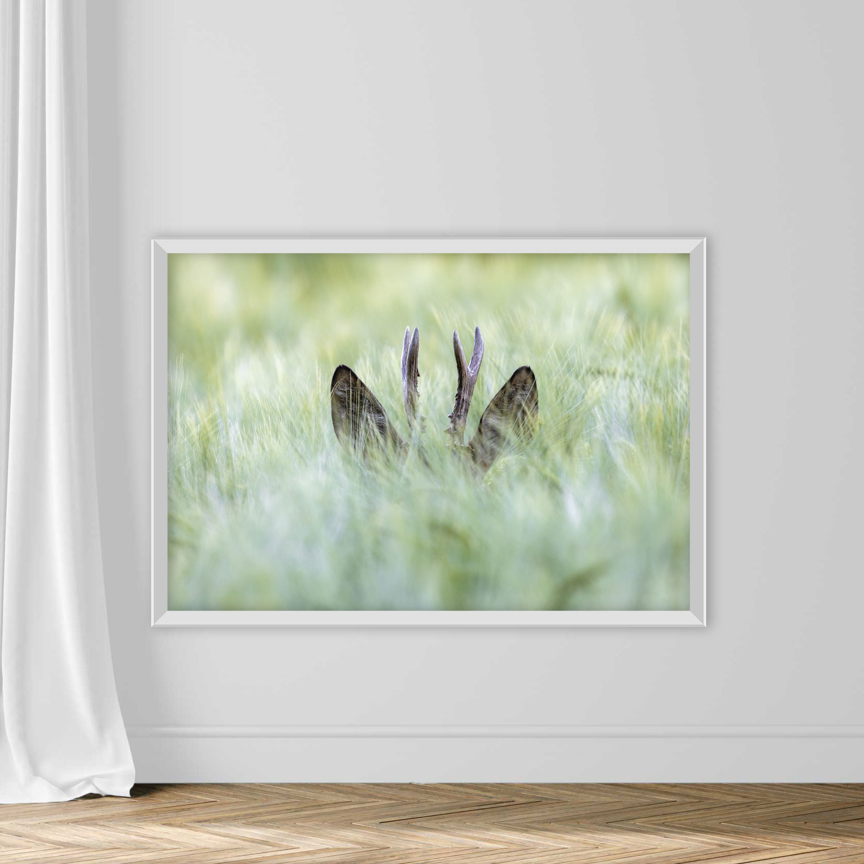 Hiding roebuck - Image 2