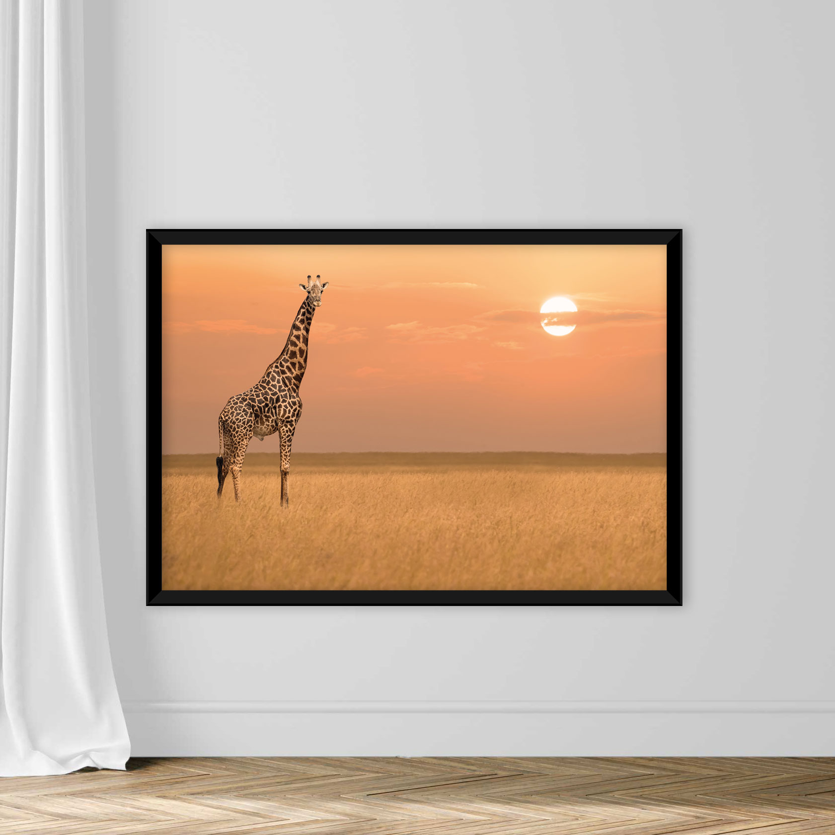 African giraffe standind alone in savanna grassland during sunset in Maasai Mara National Researve Kenya - Image 3
