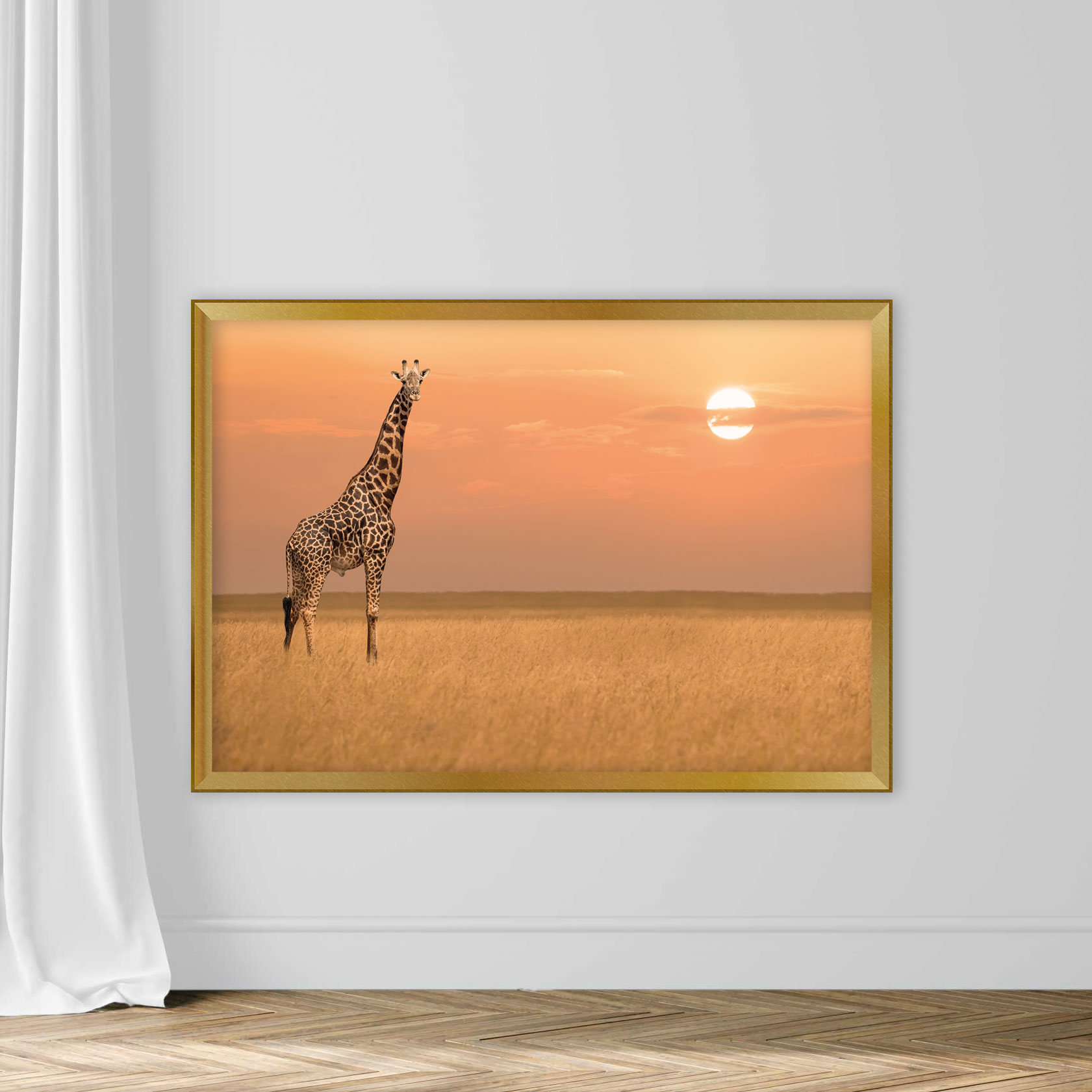 African giraffe standind alone in savanna grassland during sunset in Maasai Mara National Researve Kenya - Image 5