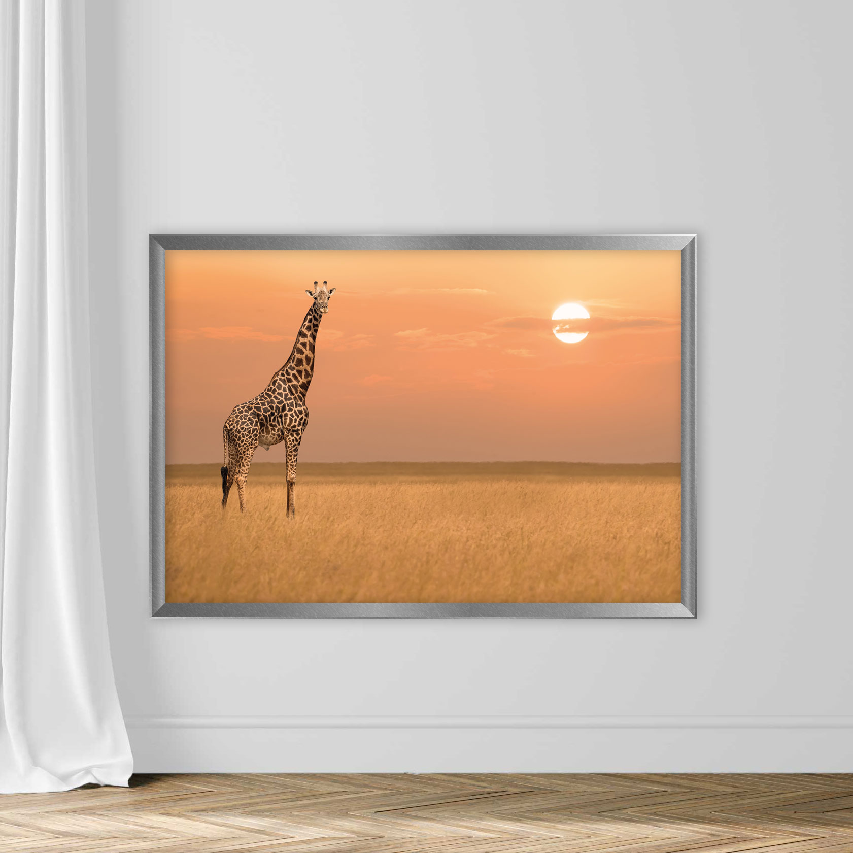 African giraffe standind alone in savanna grassland during sunset in Maasai Mara National Researve Kenya - Image 4