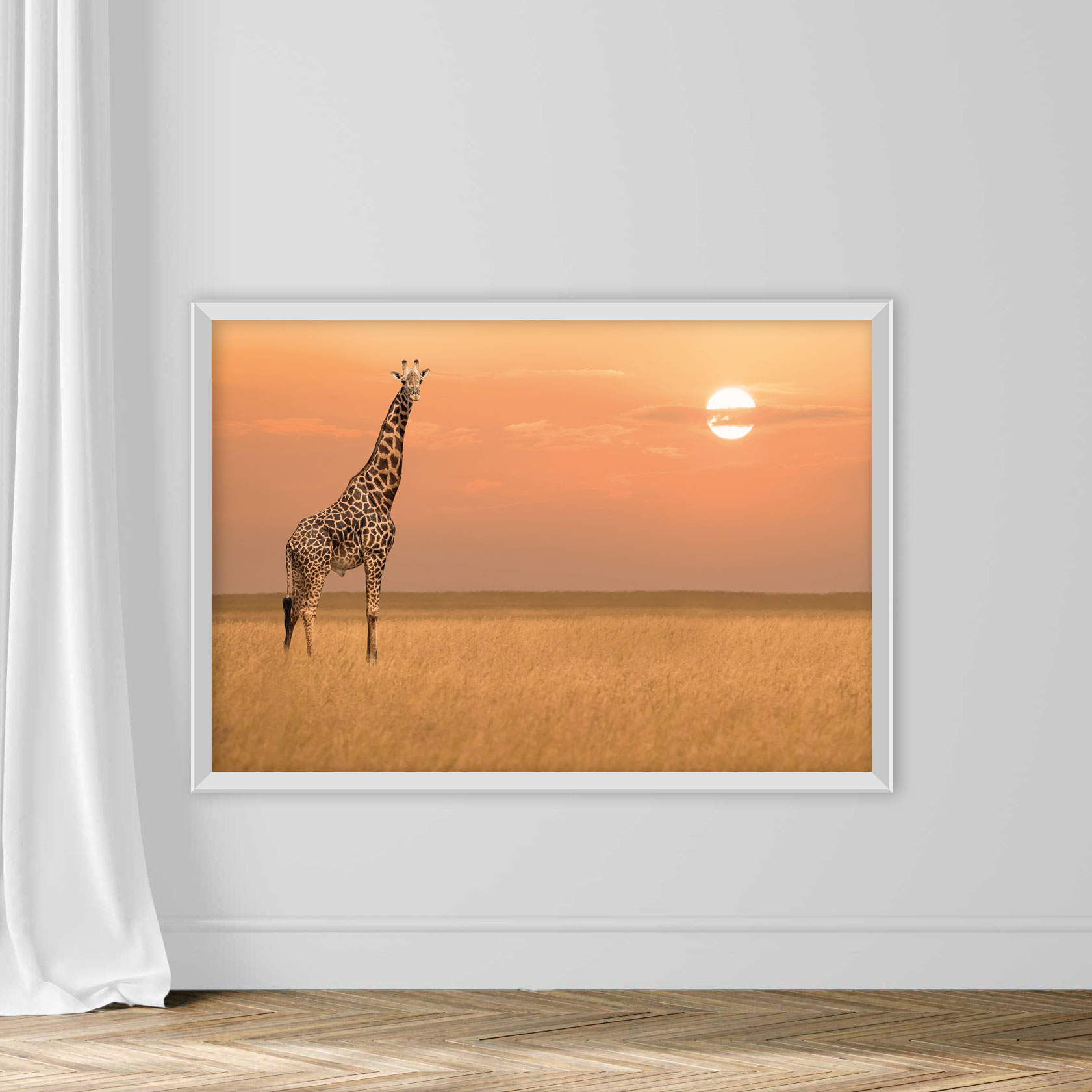 African giraffe standind alone in savanna grassland during sunset in Maasai Mara National Researve Kenya - Image 2