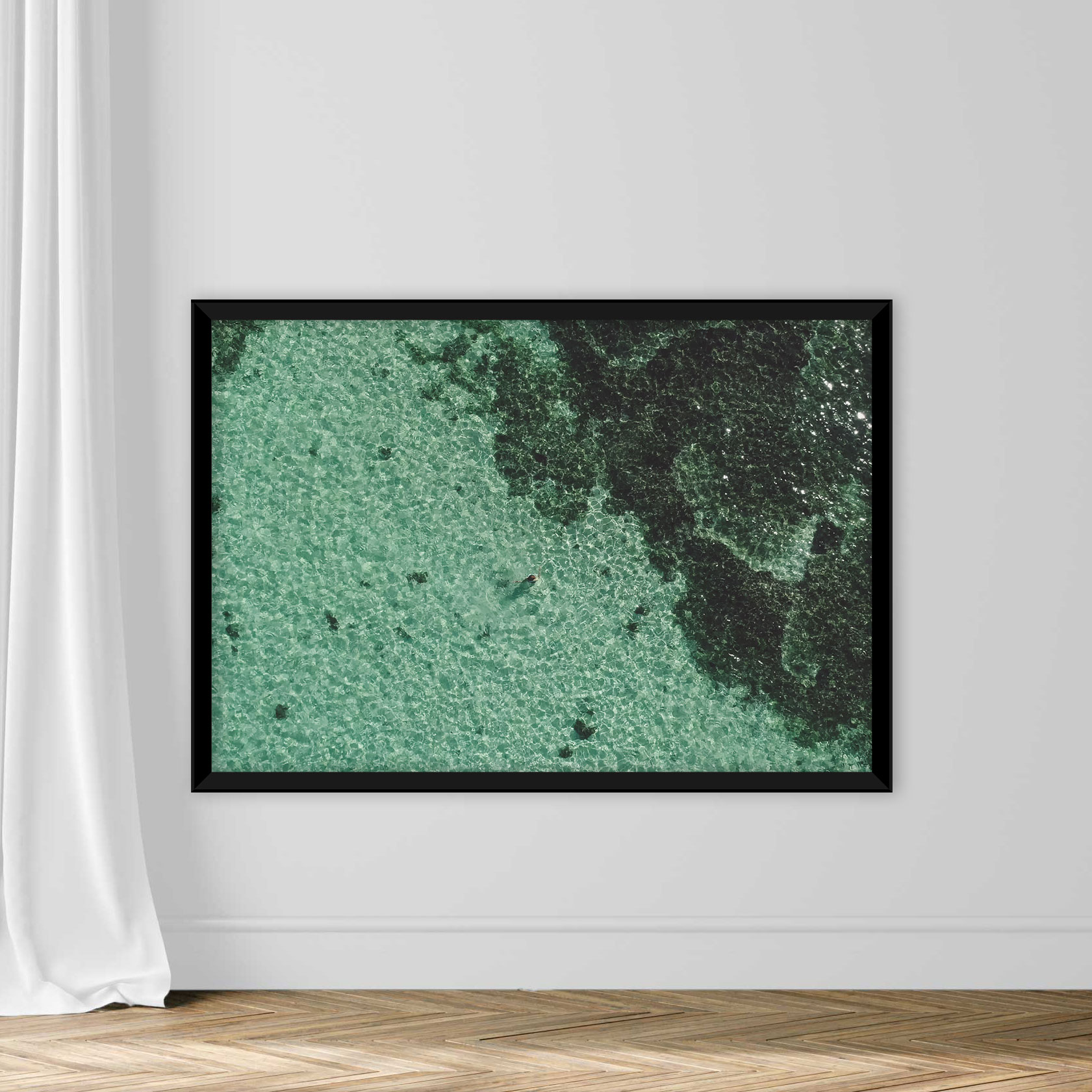 High Angle View Of Jellyfish Swimming In Sea - Image 3