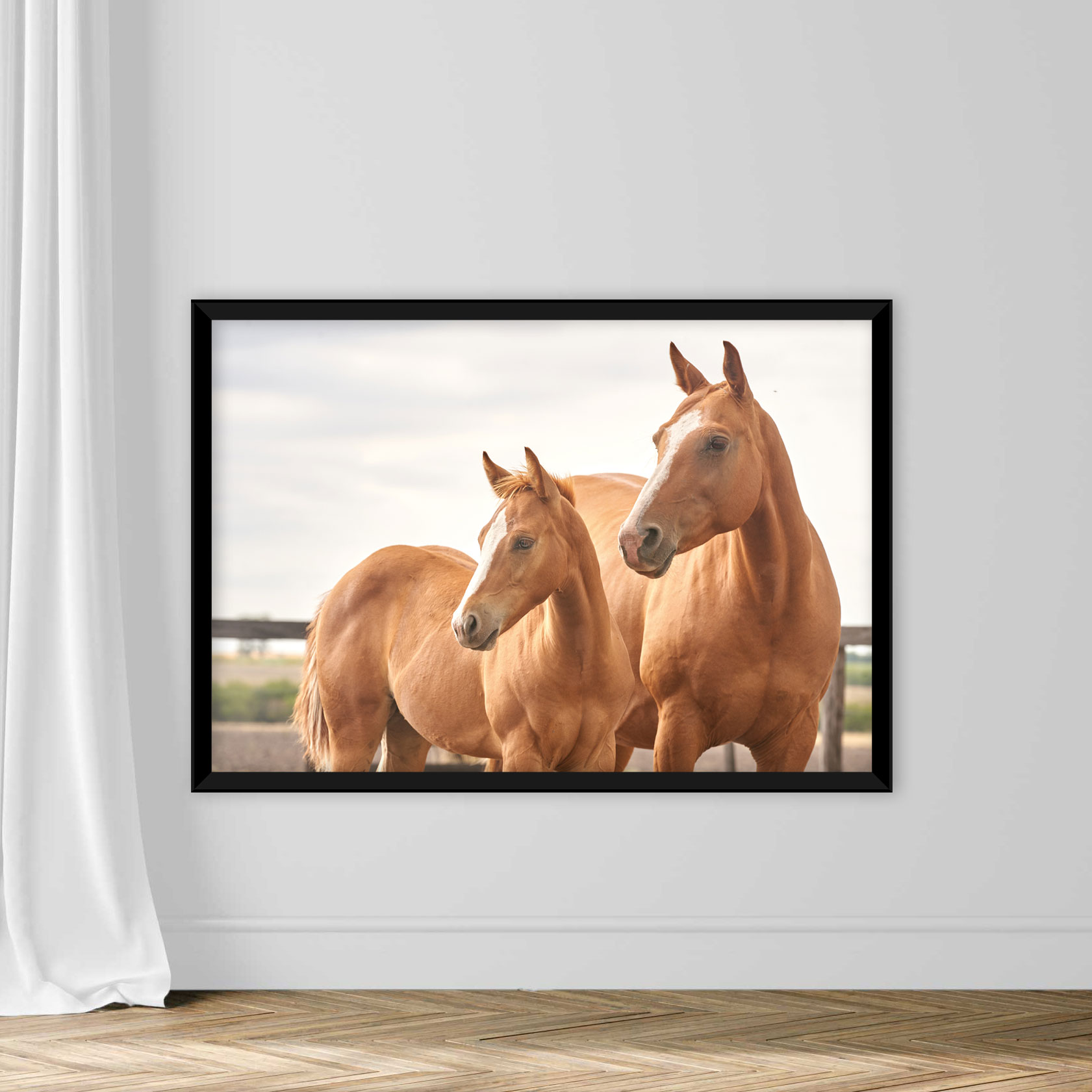 The Head Of A Quarter Horse - Image 3