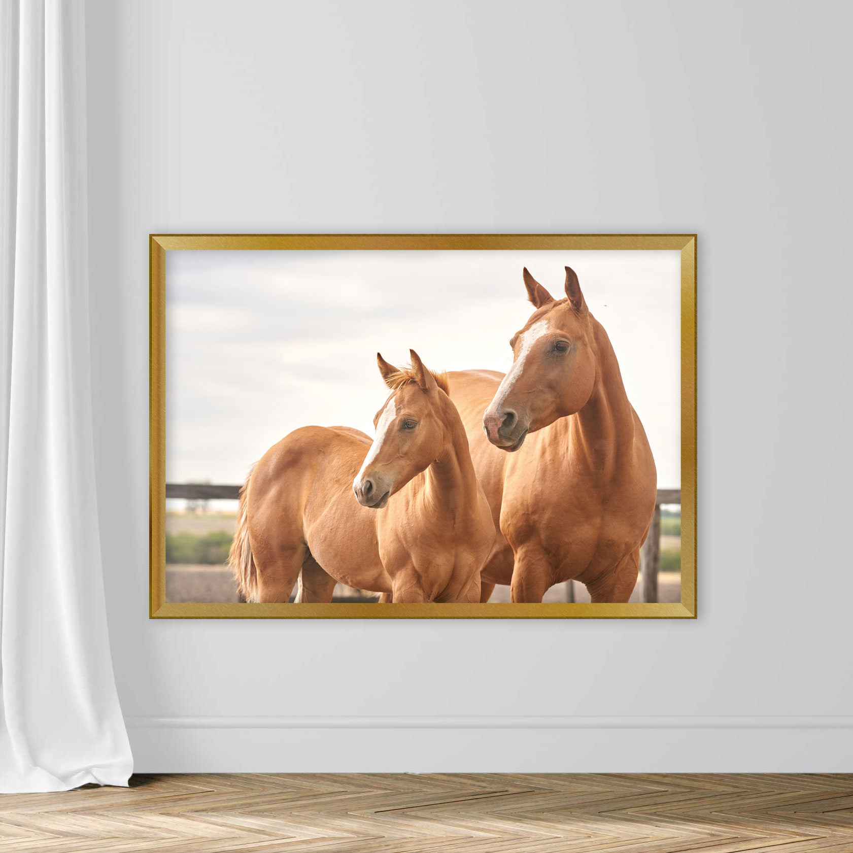 The Head Of A Quarter Horse - Image 5