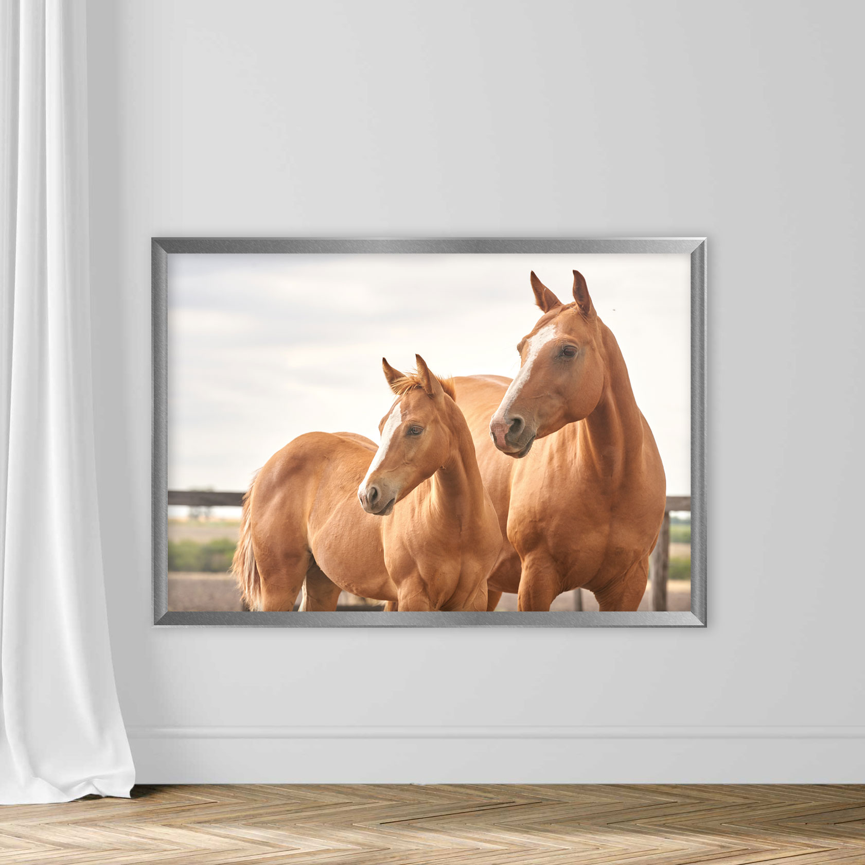 The Head Of A Quarter Horse - Image 4
