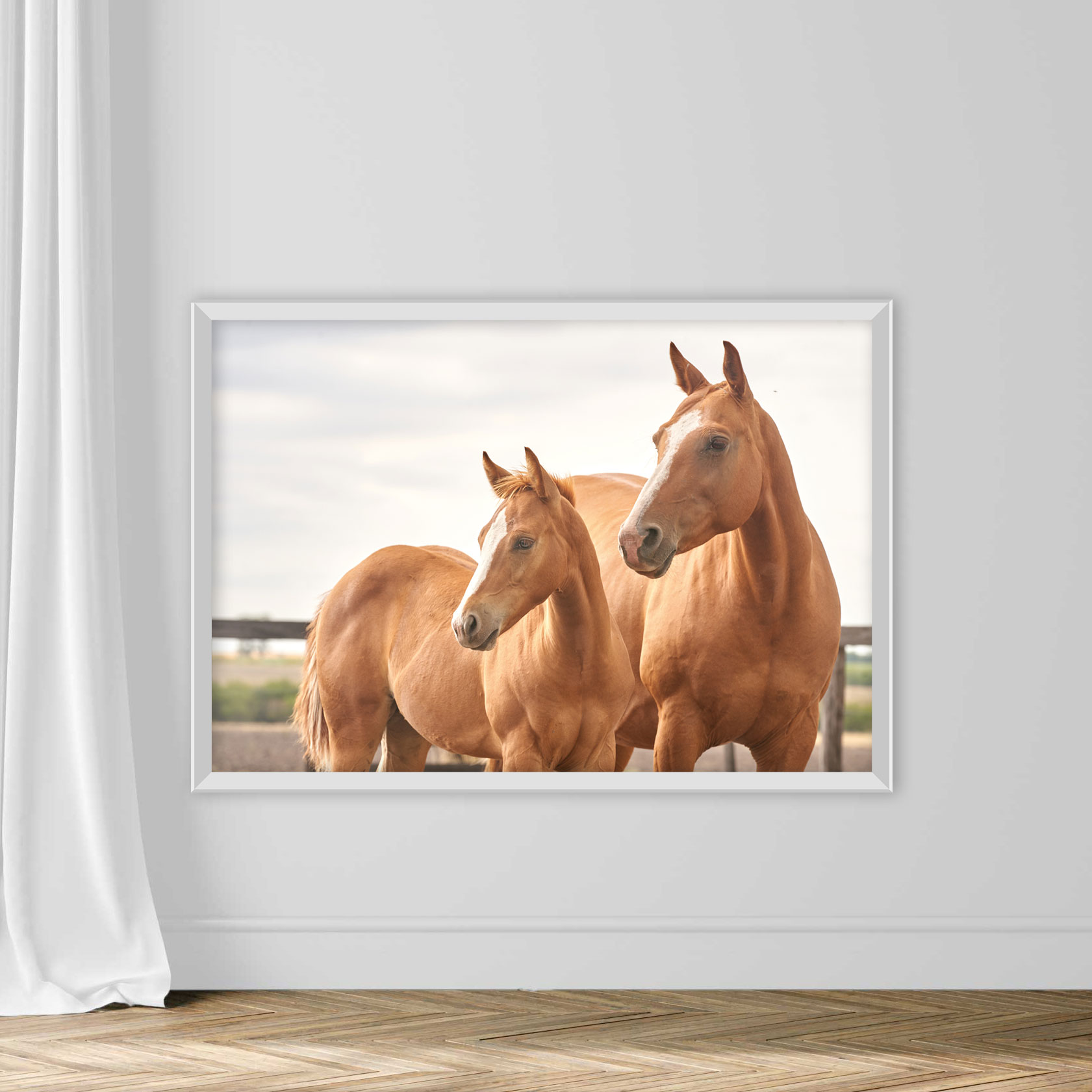 The Head Of A Quarter Horse - Image 2