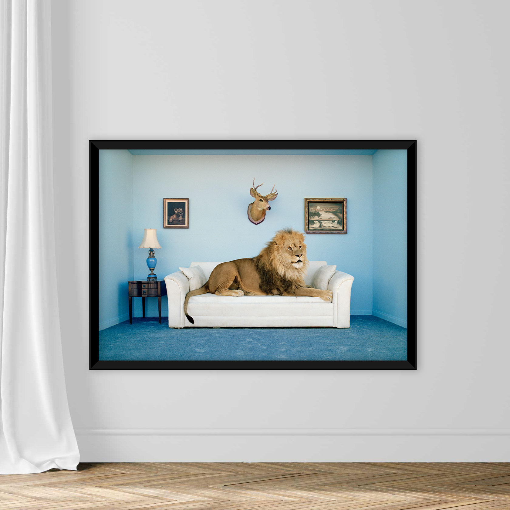 Lion lying on couch, side view - Image 7