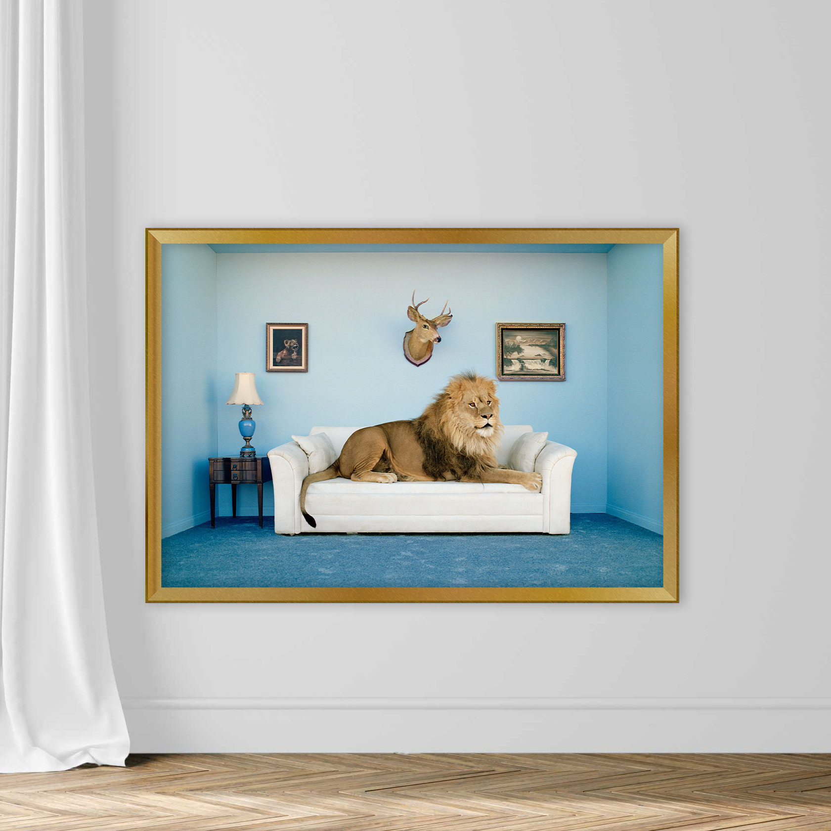 Lion lying on couch, side view - Image 9