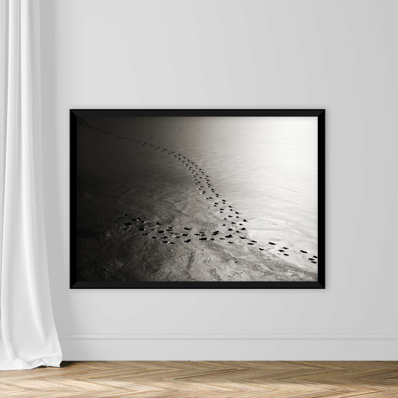 Animal tracks, footprints - Image 3
