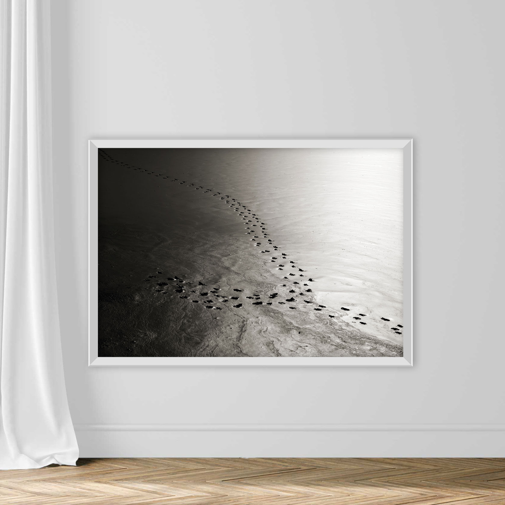 Animal tracks, footprints - Image 2