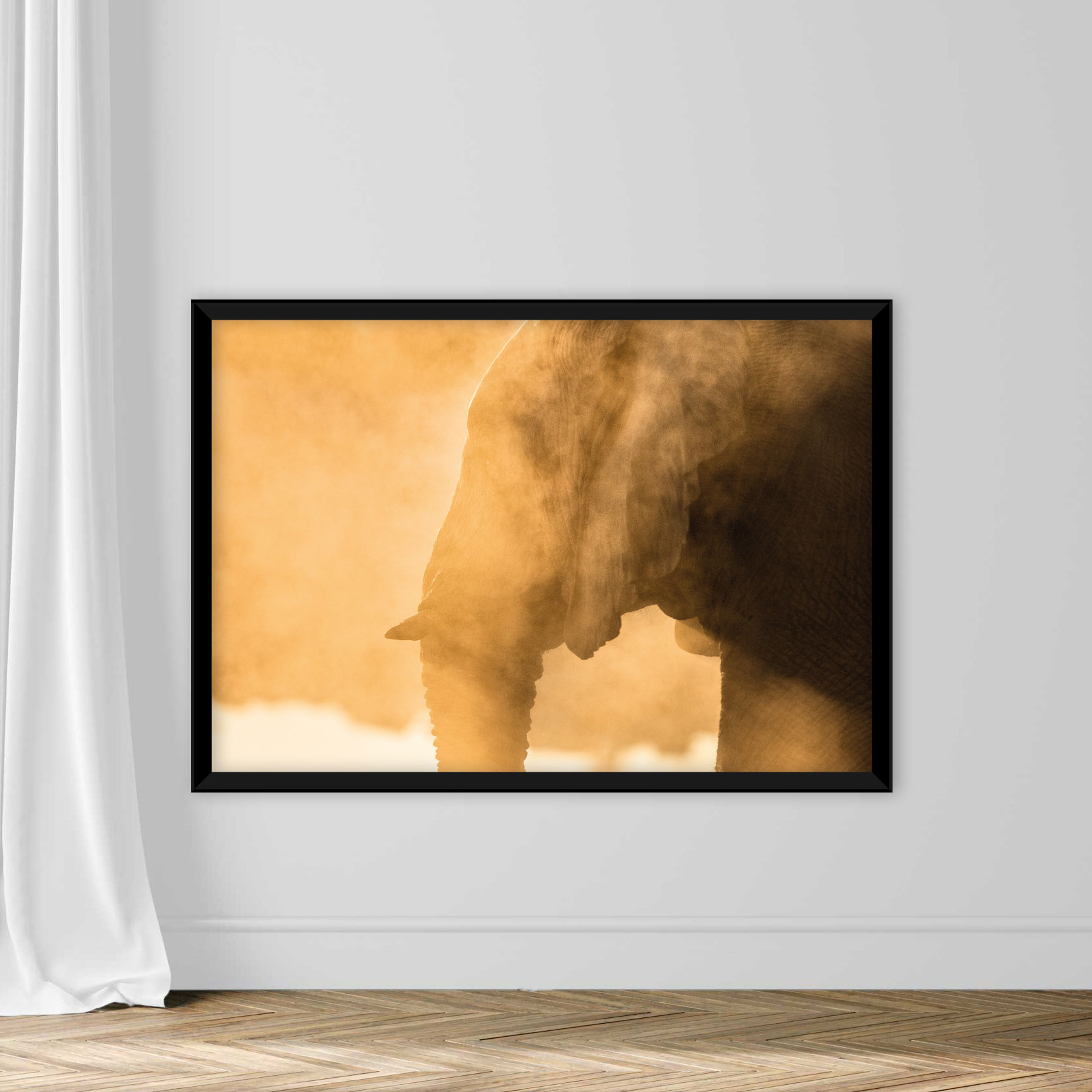 Elephant dust bathing - Image 3