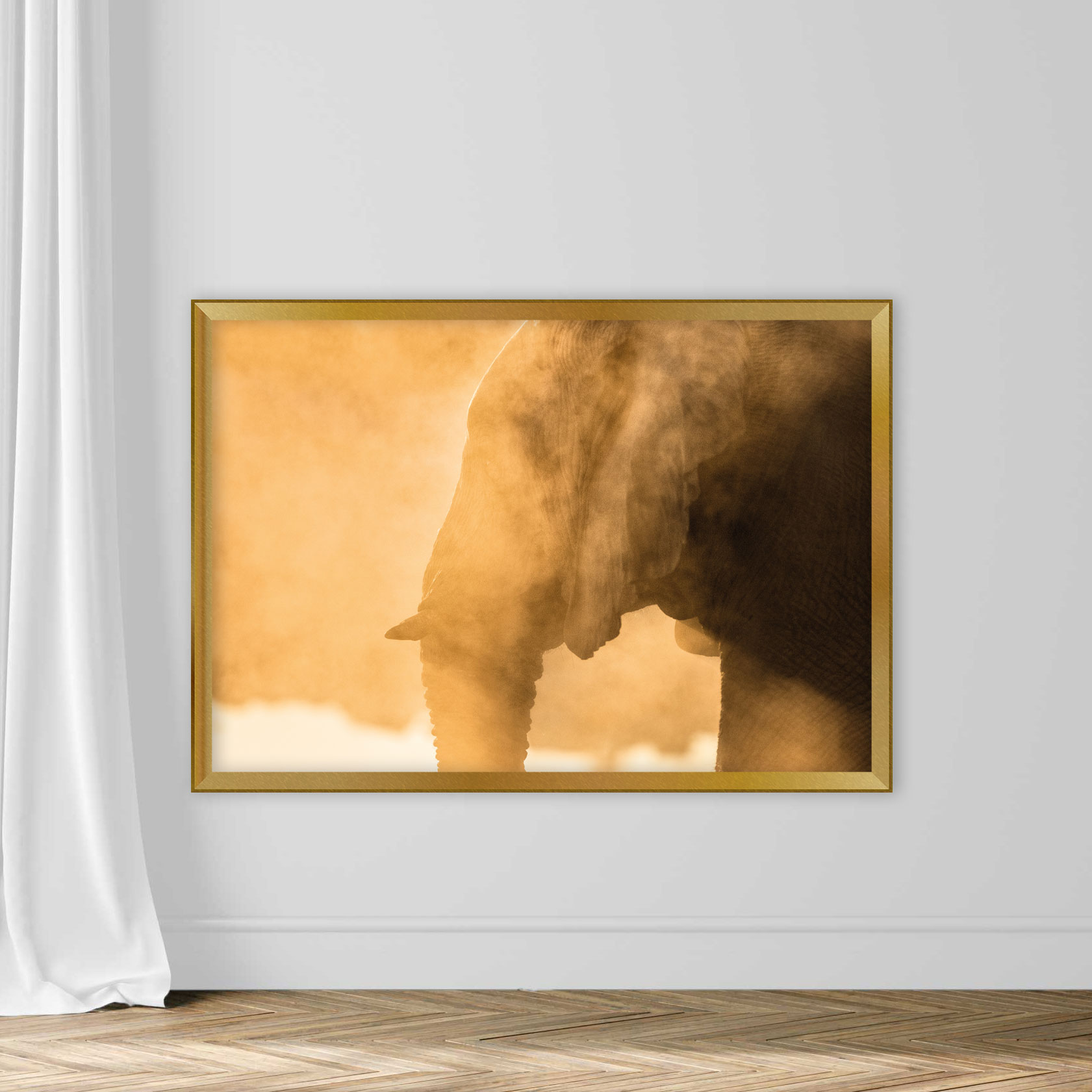 Elephant dust bathing - Image 5