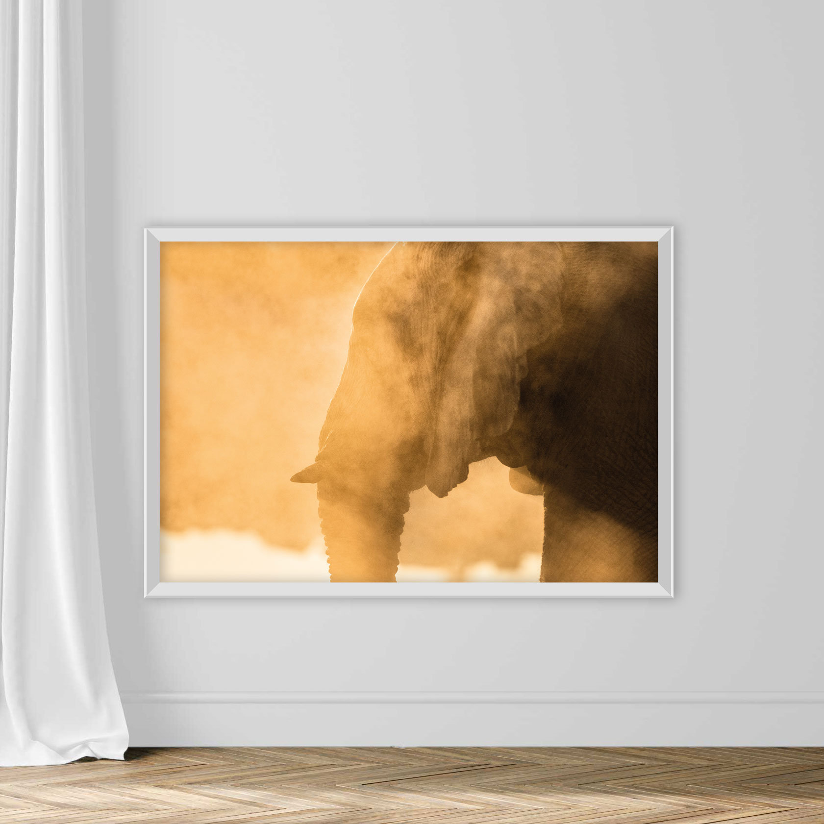 Elephant dust bathing - Image 2